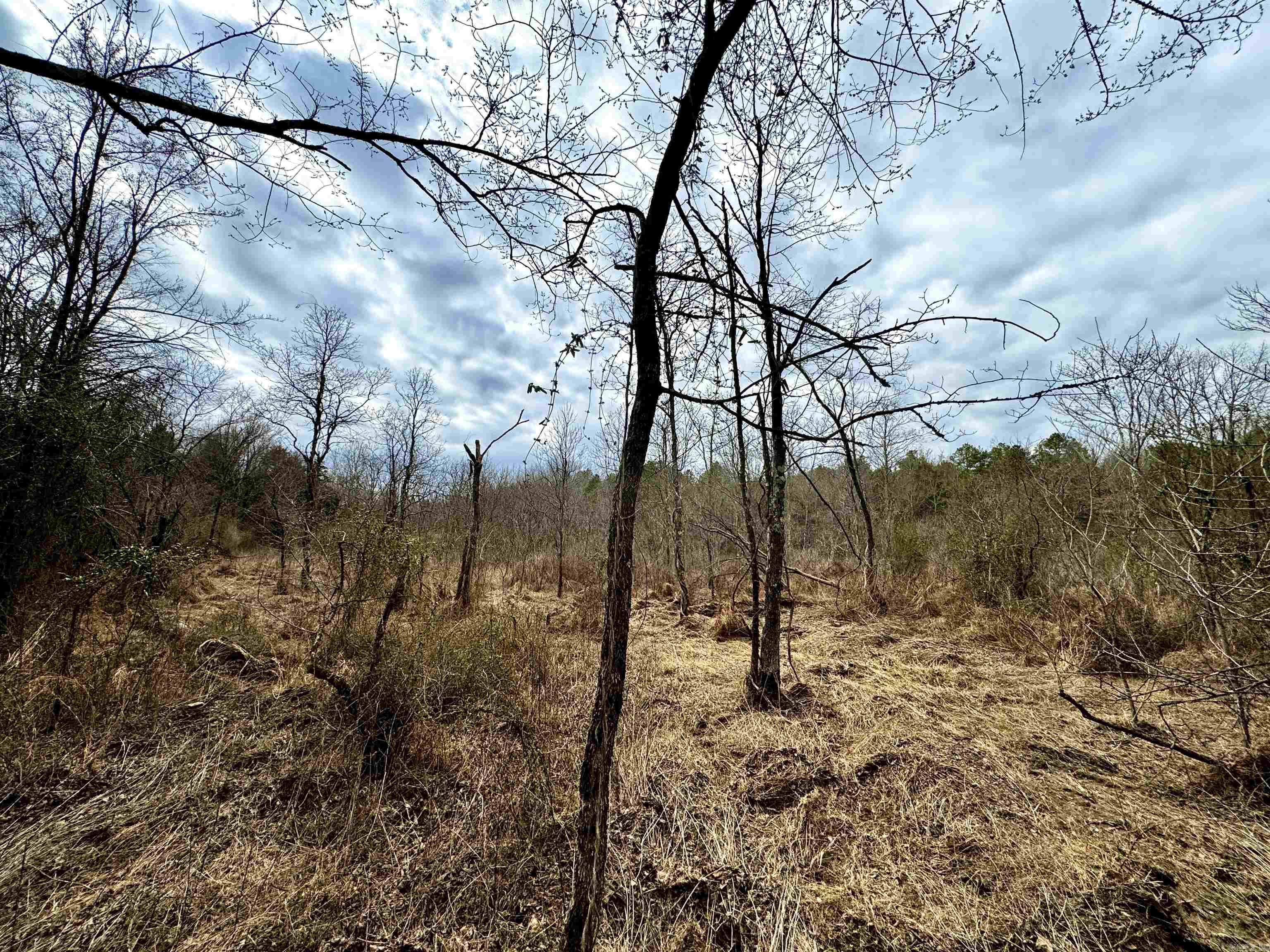 00 S Shelton  Bee Branch, AR