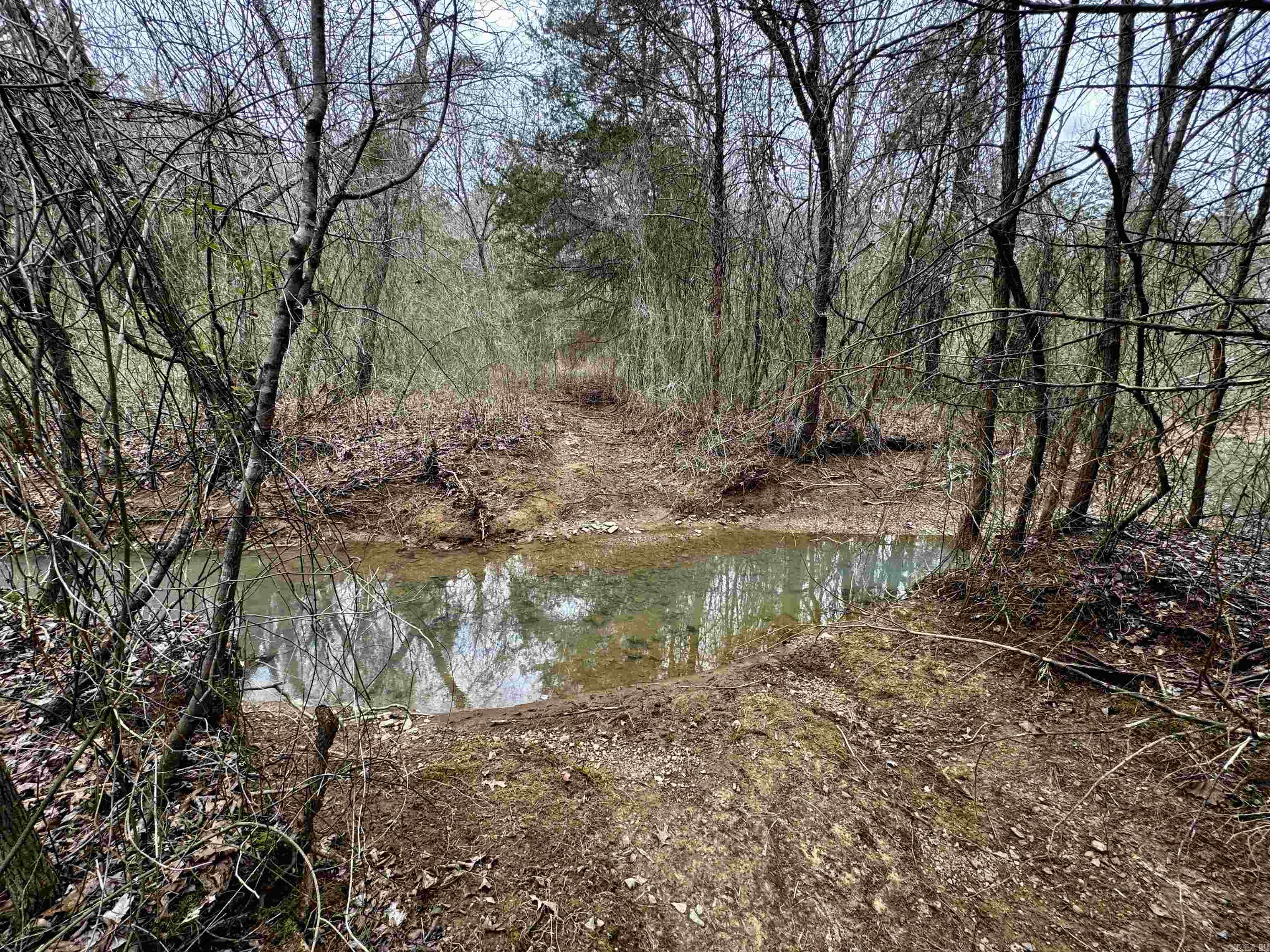 00 S Shelton  Bee Branch, AR