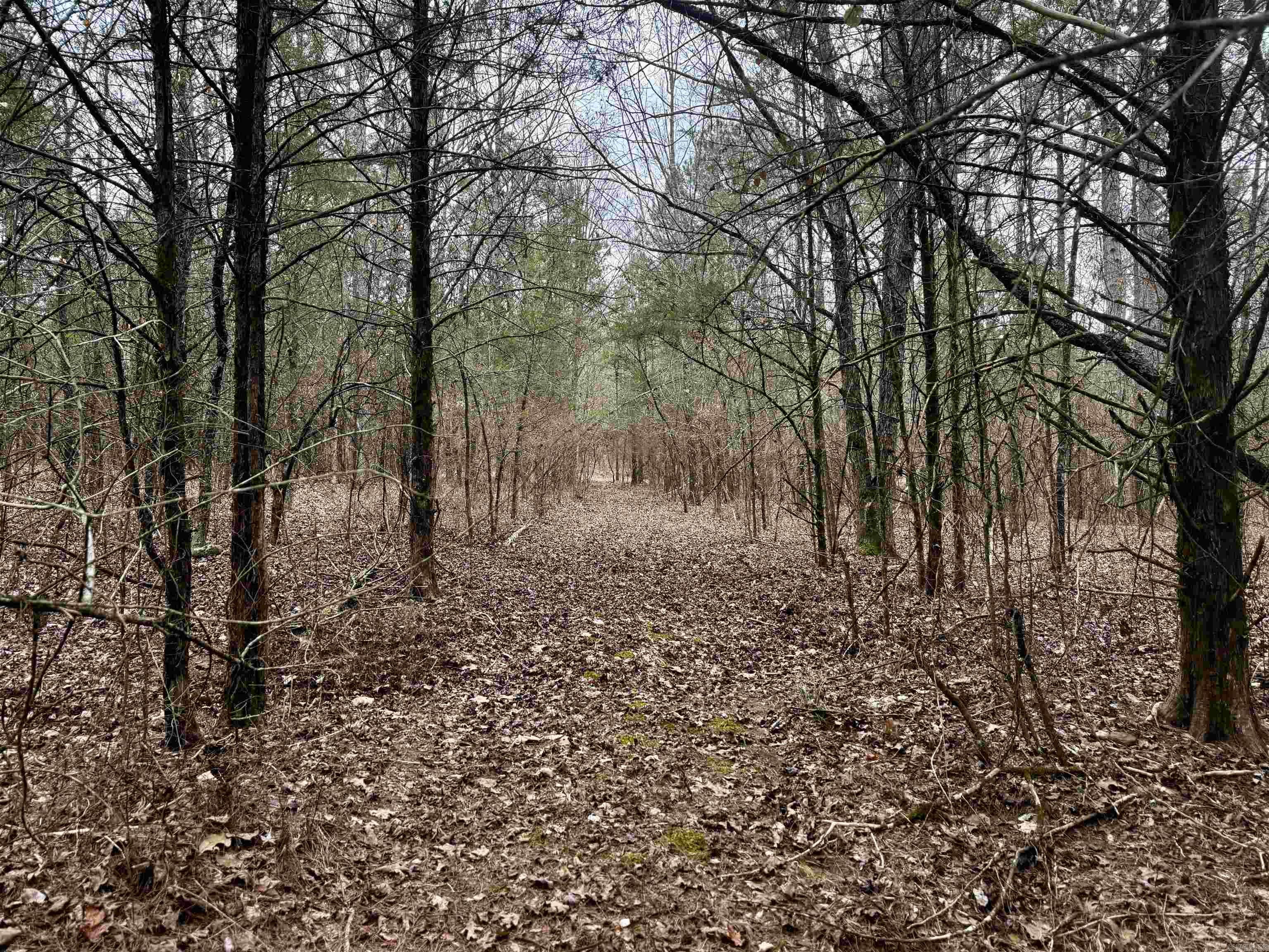 00 S Shelton  Bee Branch, AR