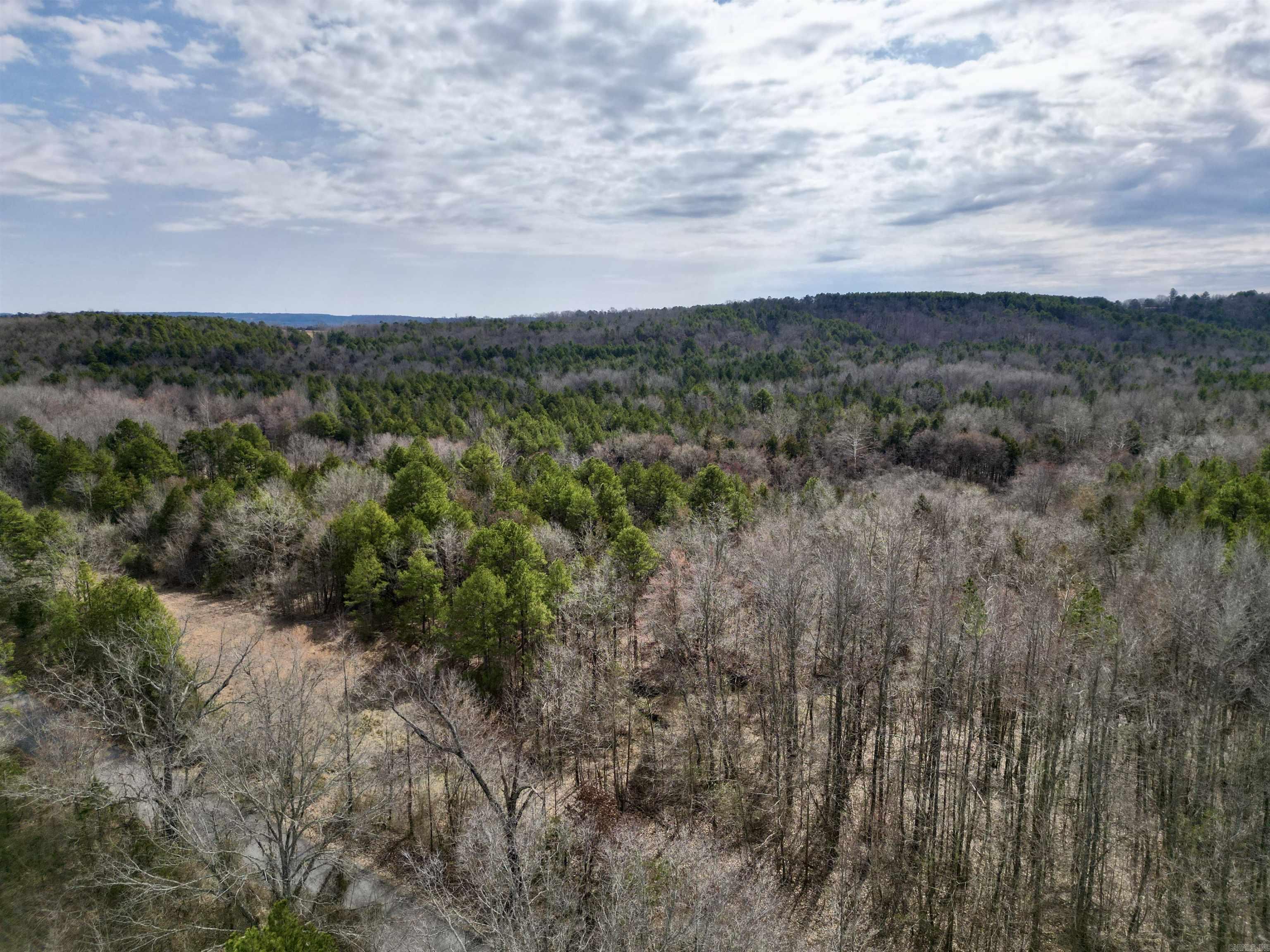 00 S Shelton  Bee Branch, AR
