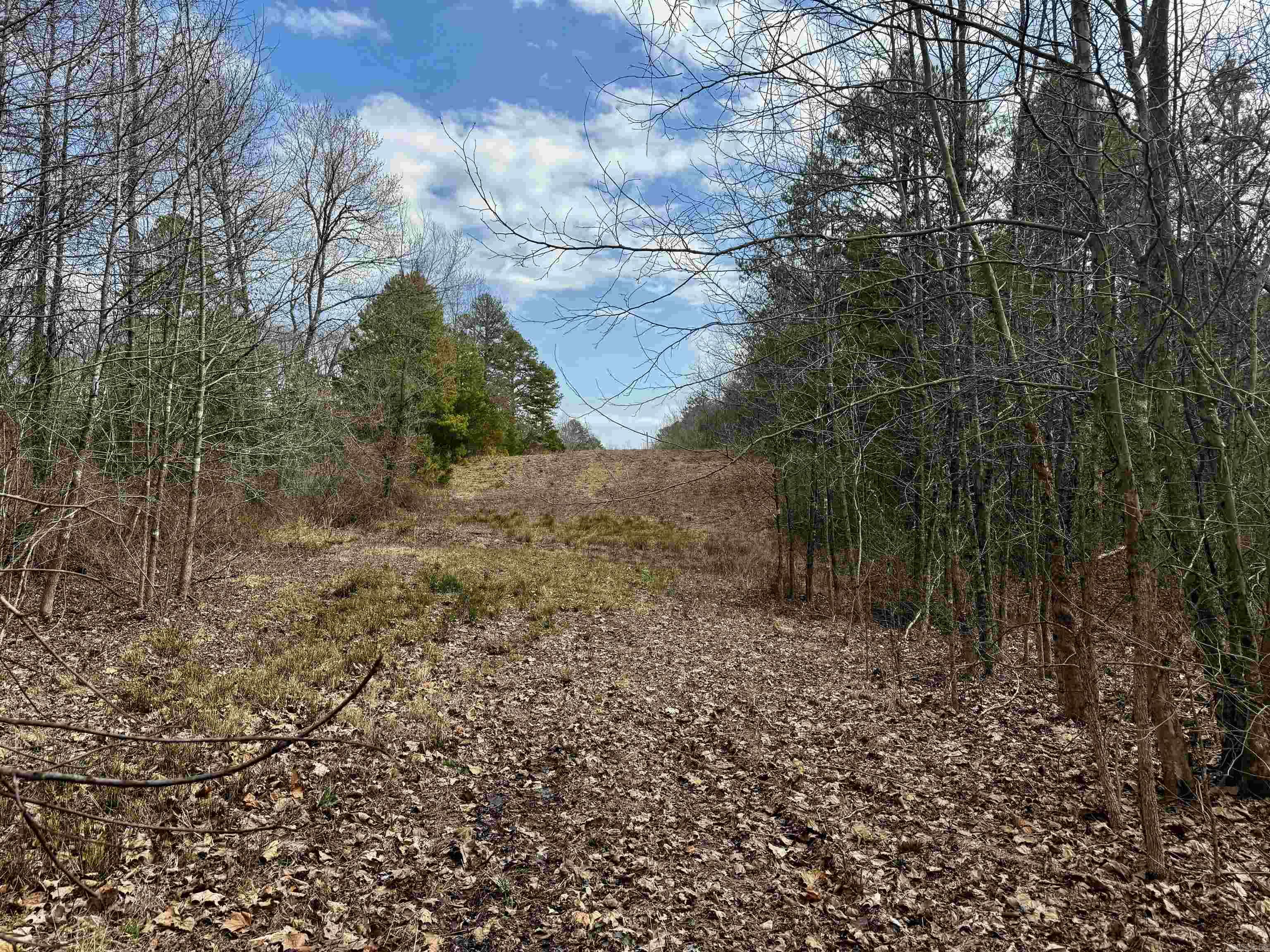00 S Shelton  Bee Branch, AR