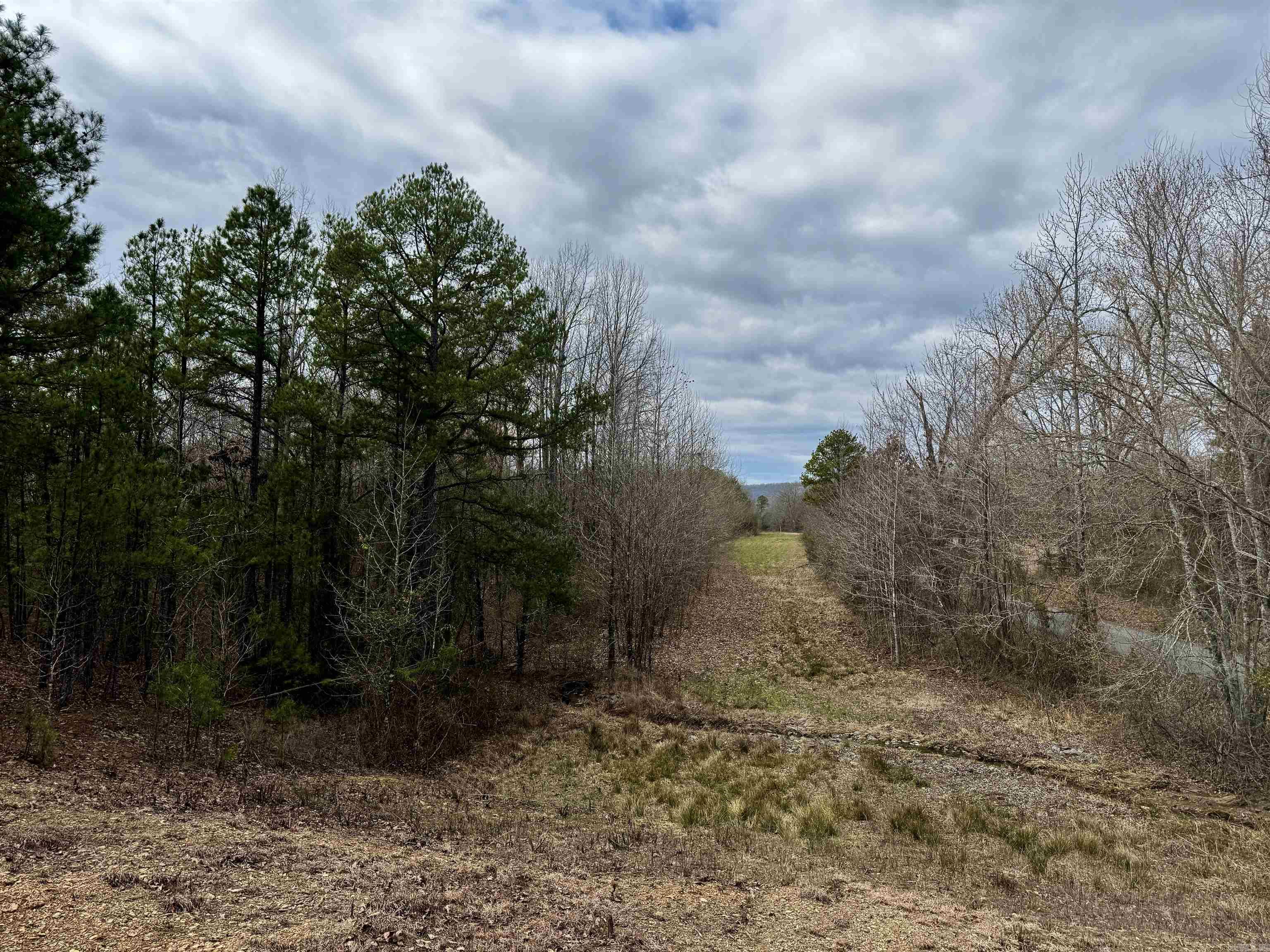 00 S Shelton  Bee Branch, AR