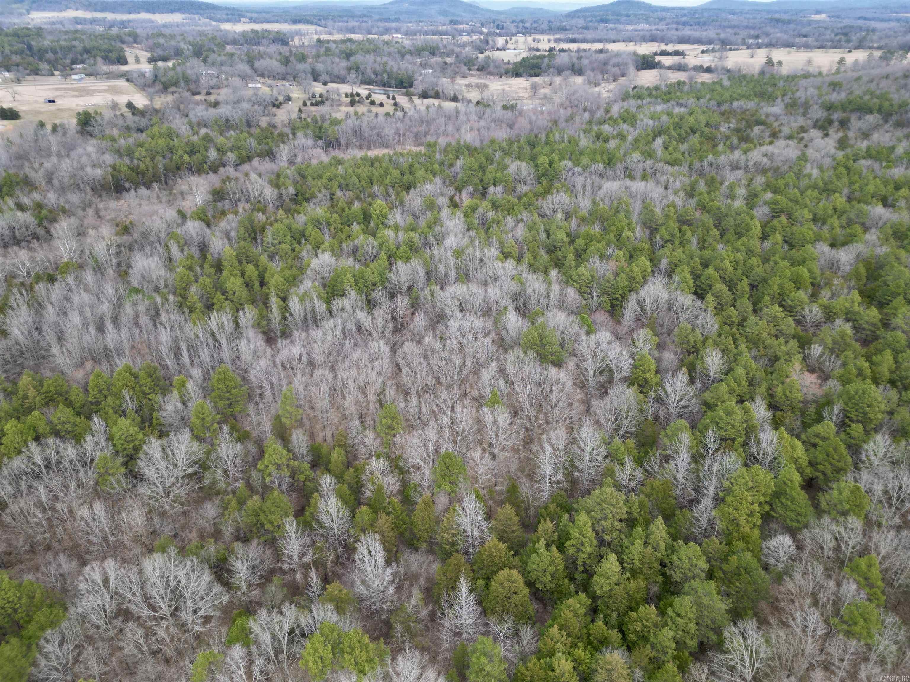 000 S Shelton  Bee Branch, AR