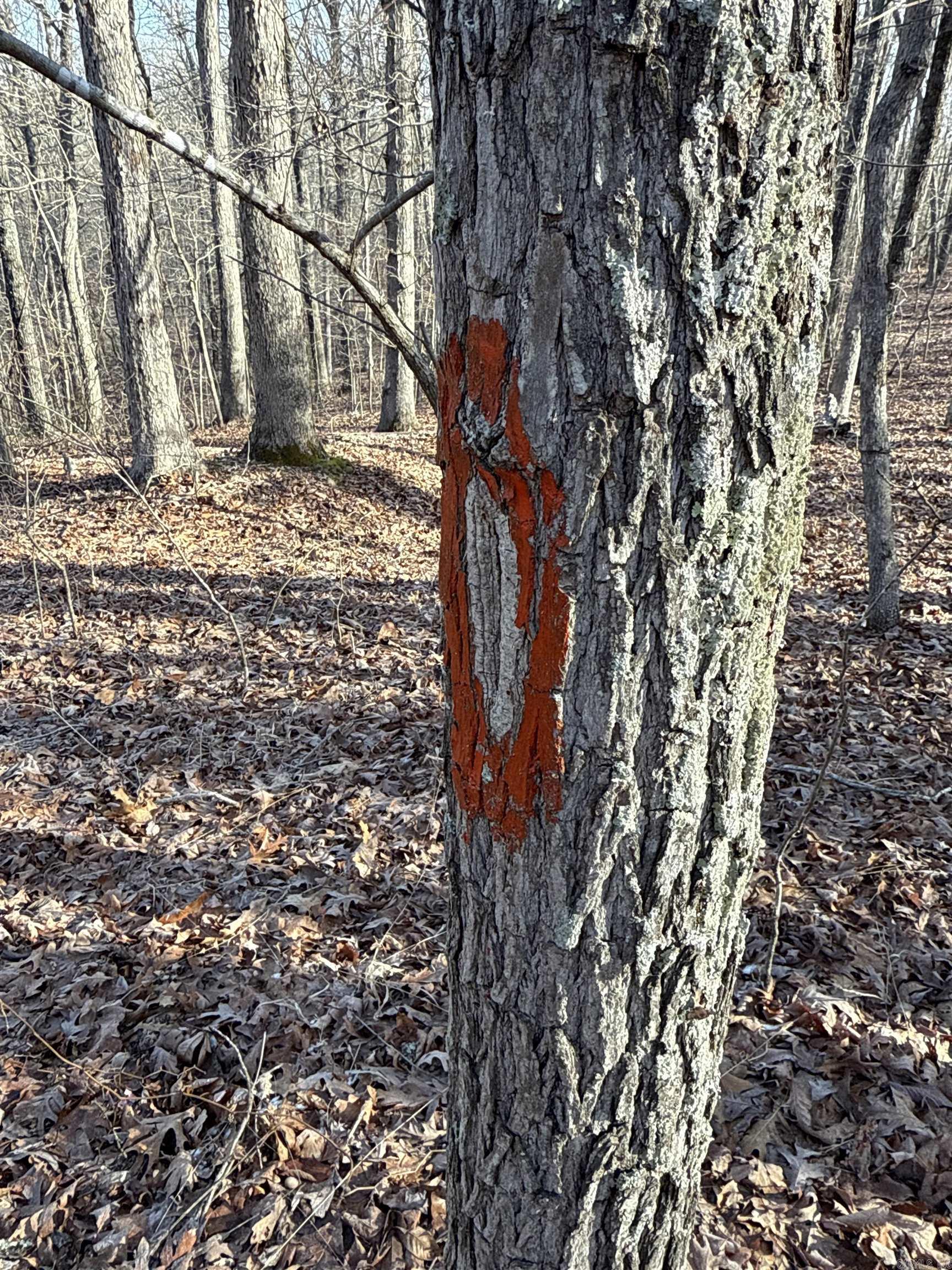 00  Axel  Marshall, AR