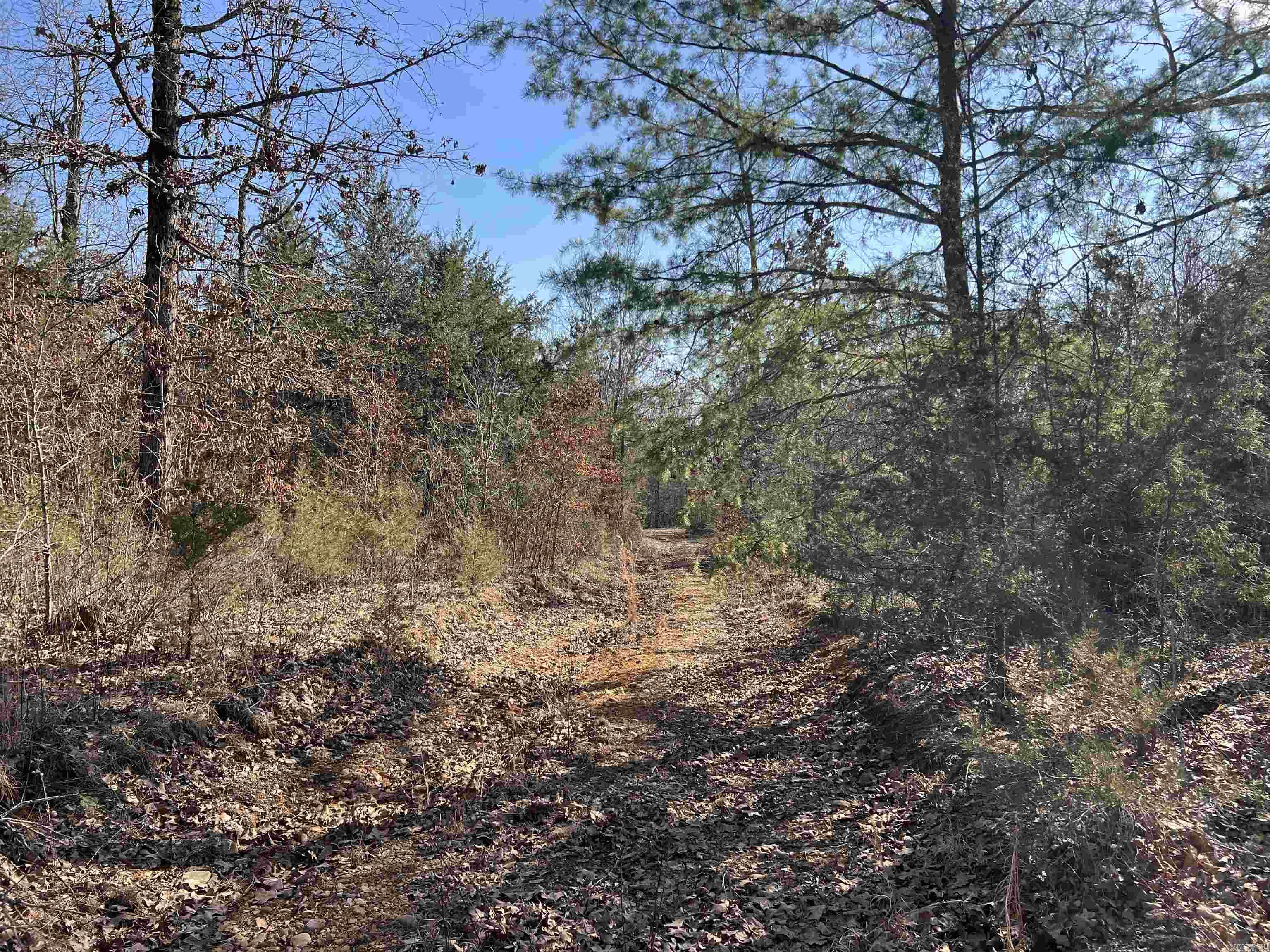 100  Stephens  Imboden, AR