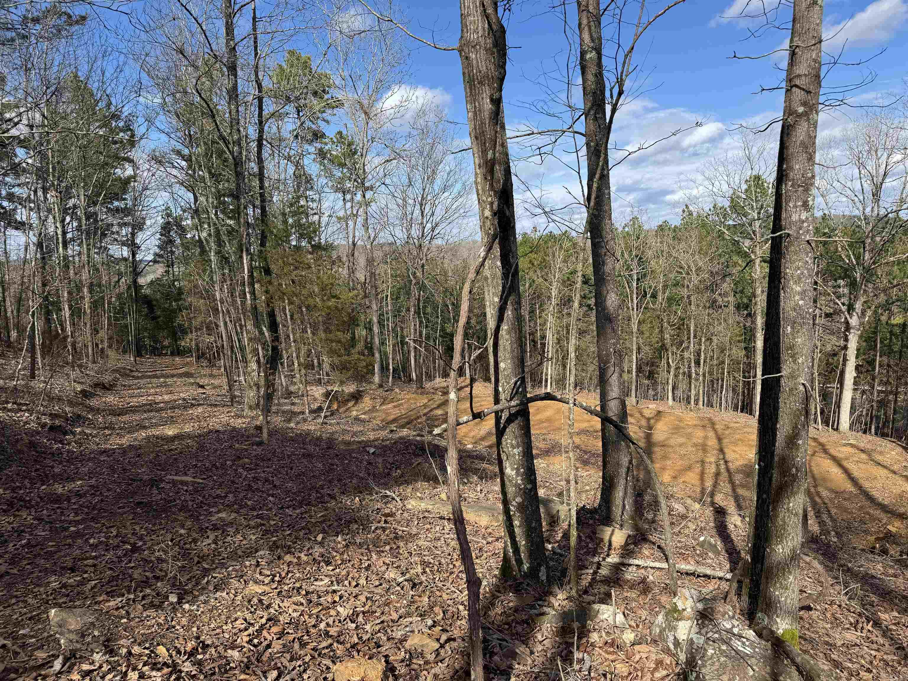 000  Fairview  Searcy, AR