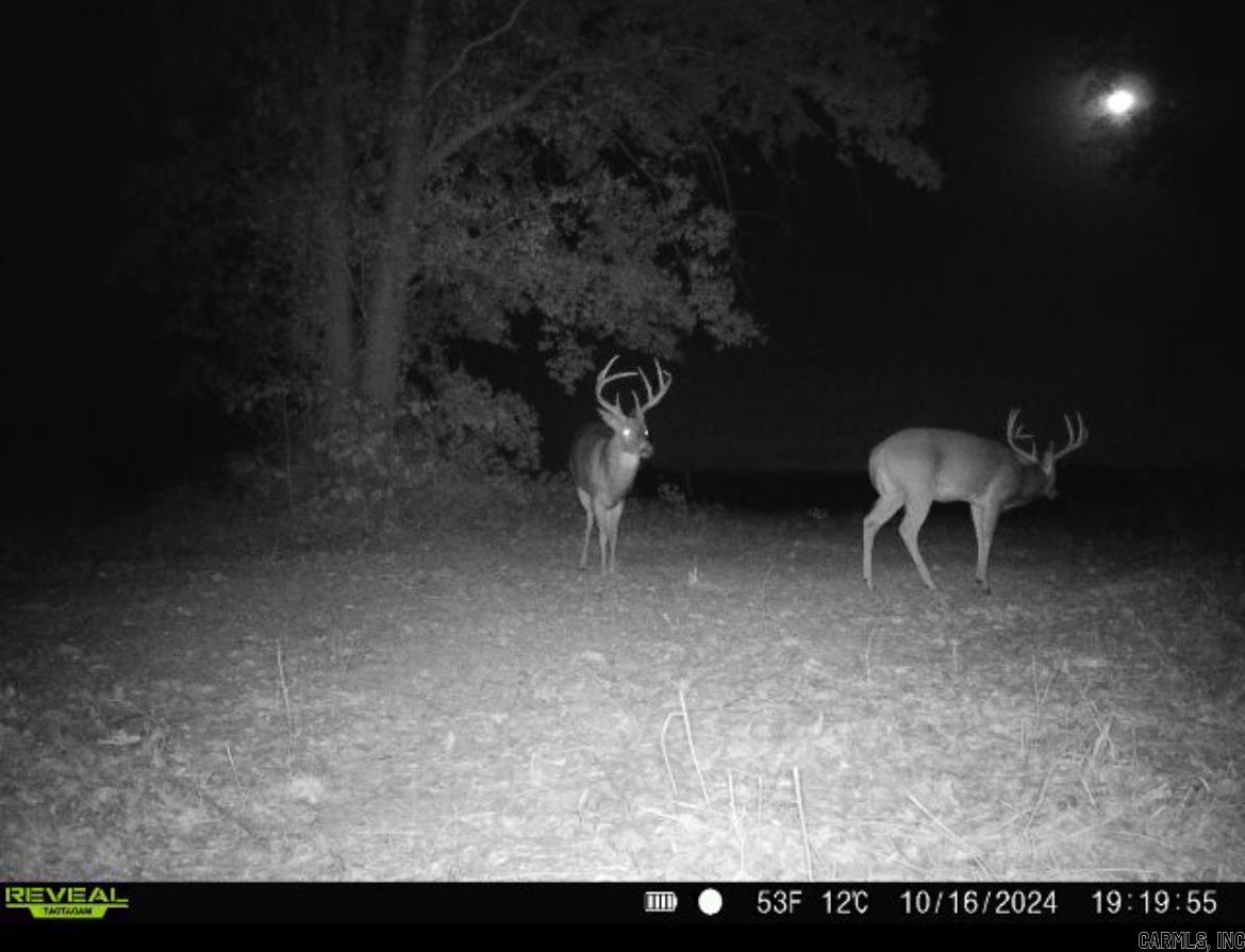 00  undisclosed  Bono, AR