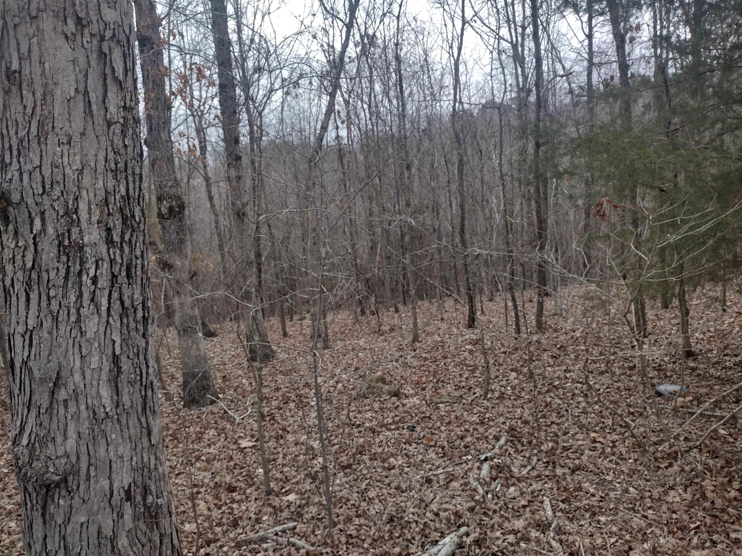 152  Wolf King Rd  Mountain View, AR