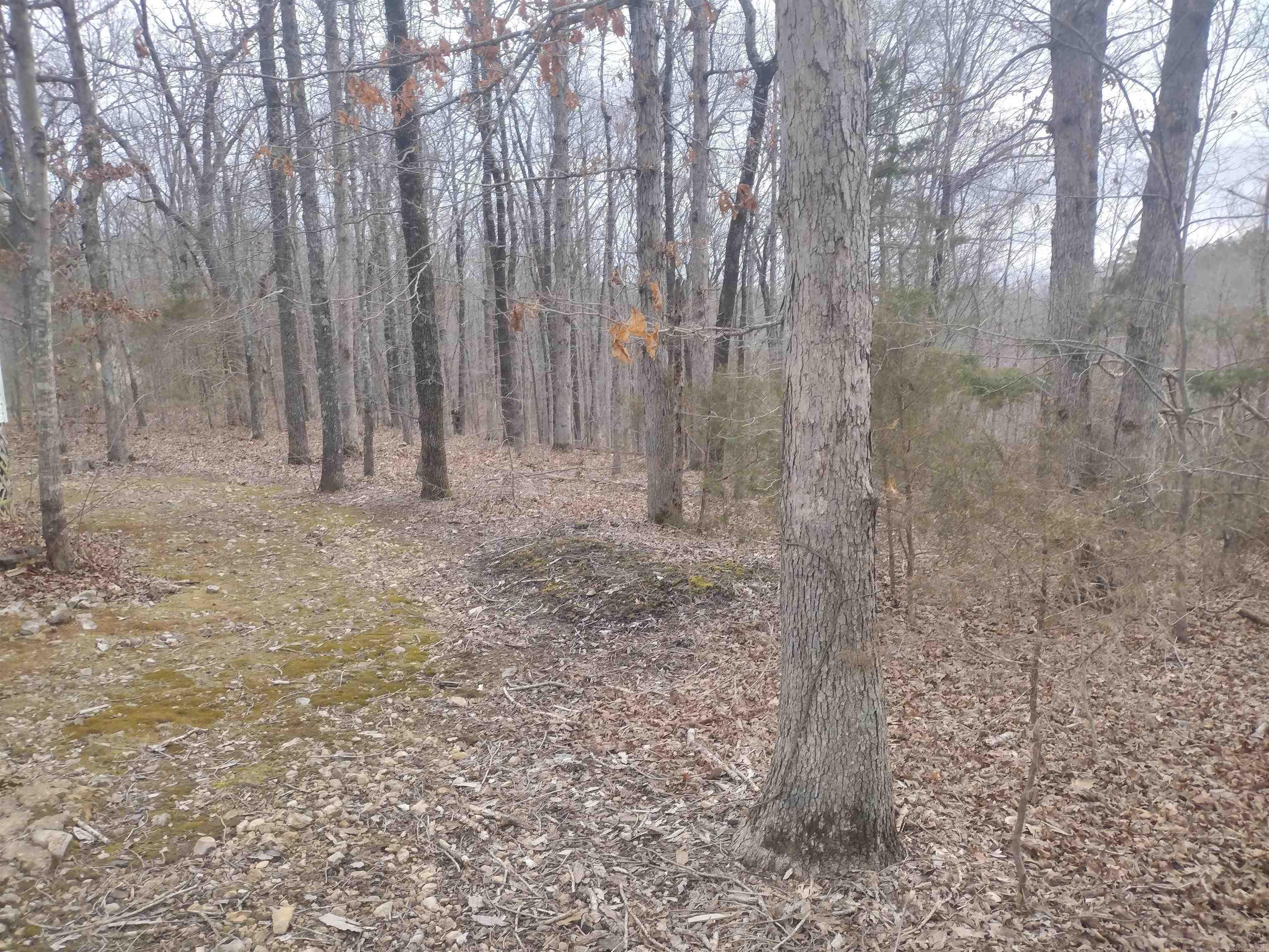 152  Wolf King Rd  Mountain View, AR