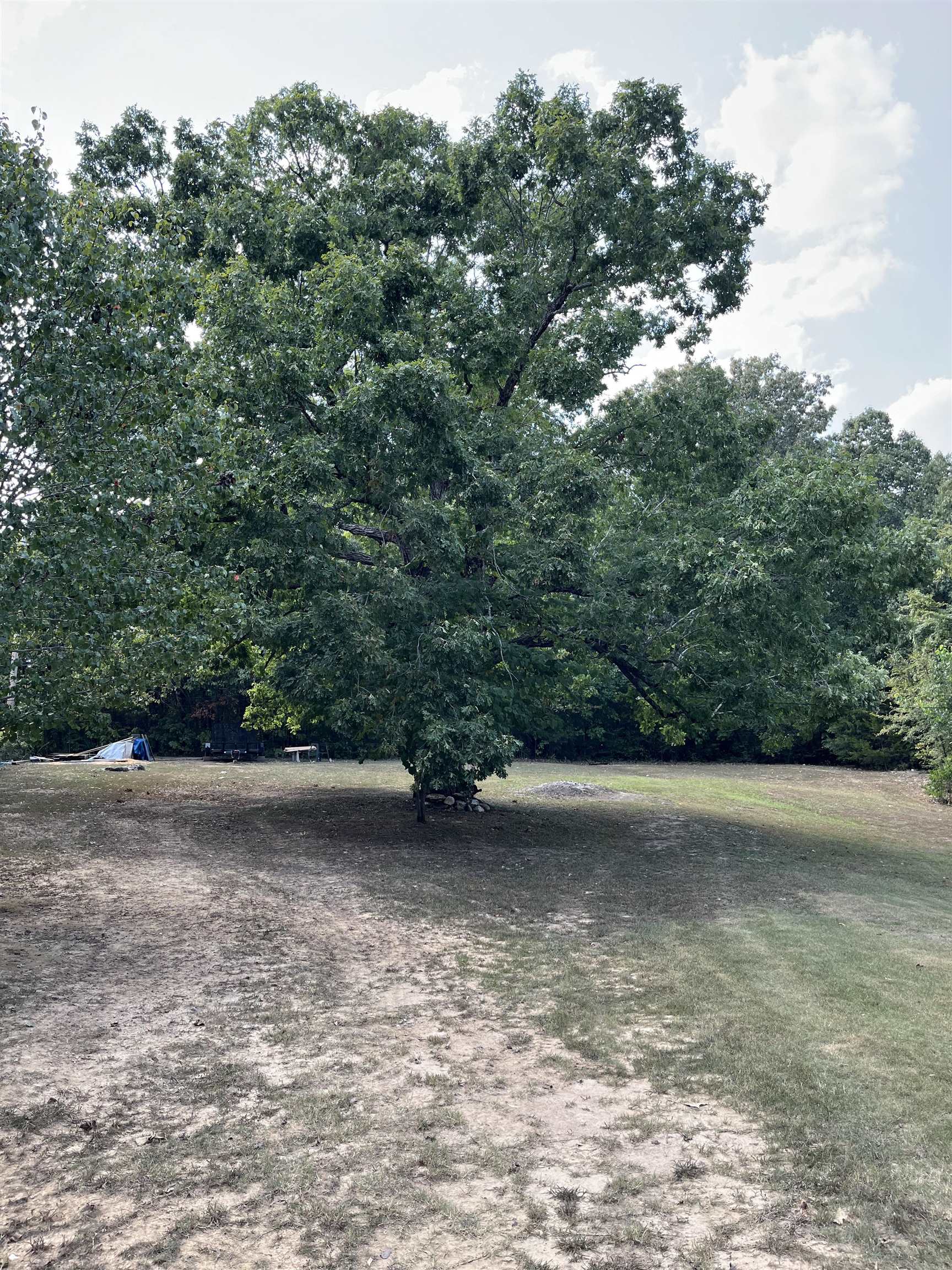 3526  Highway 63  Black Rock, AR