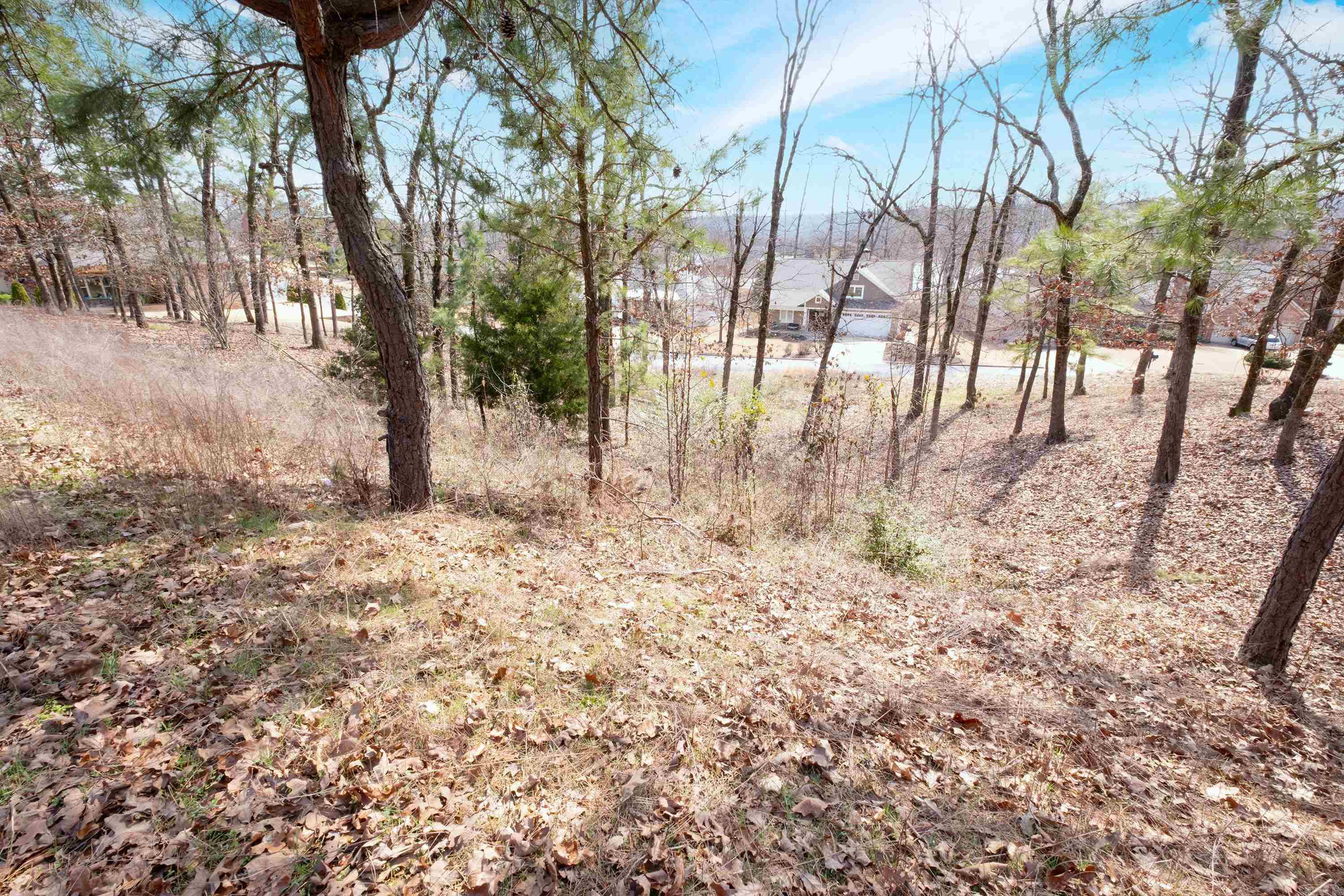 112  Turtle Creek  Maumelle, AR