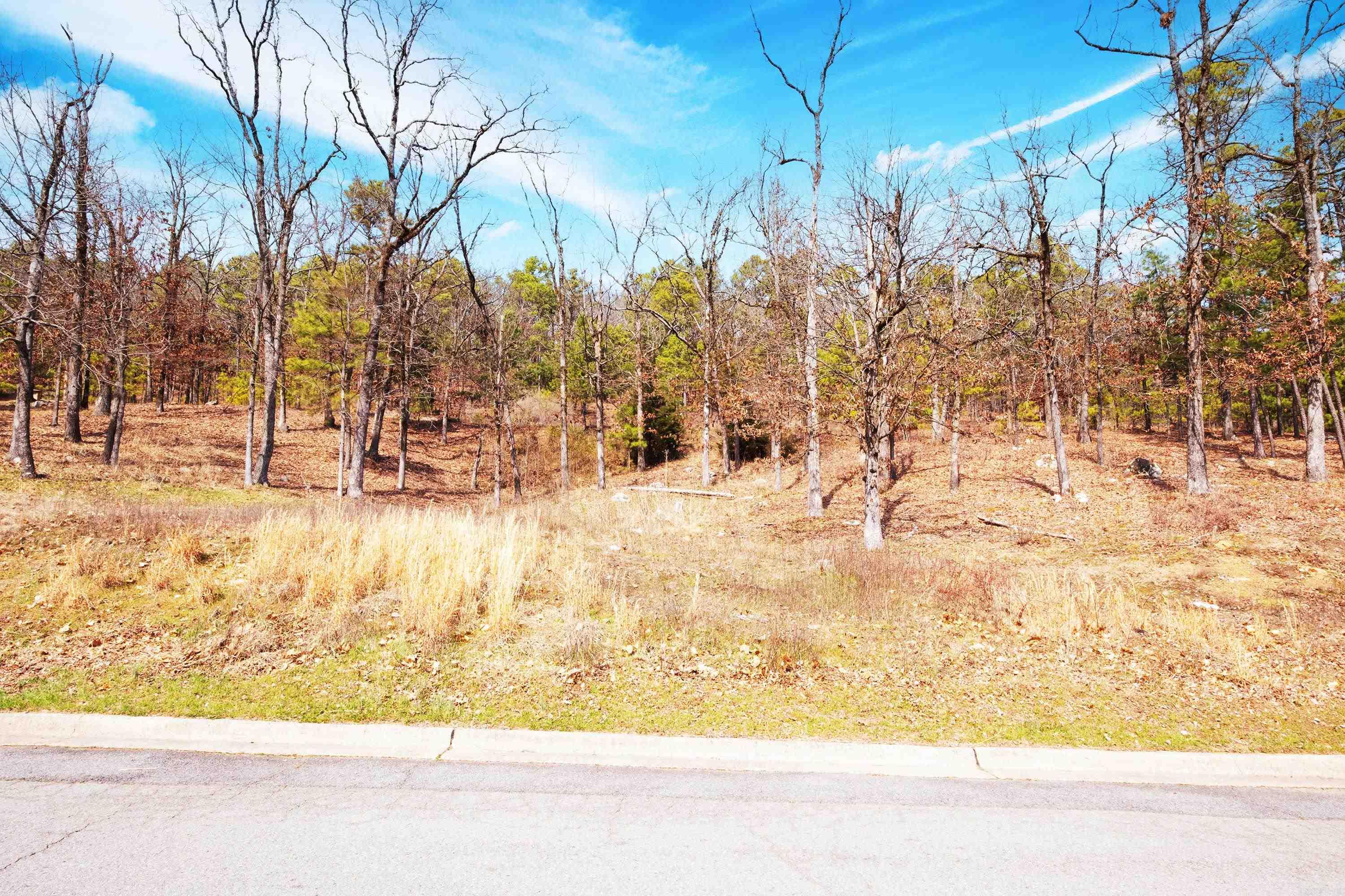 112  Turtle Creek  Maumelle, AR