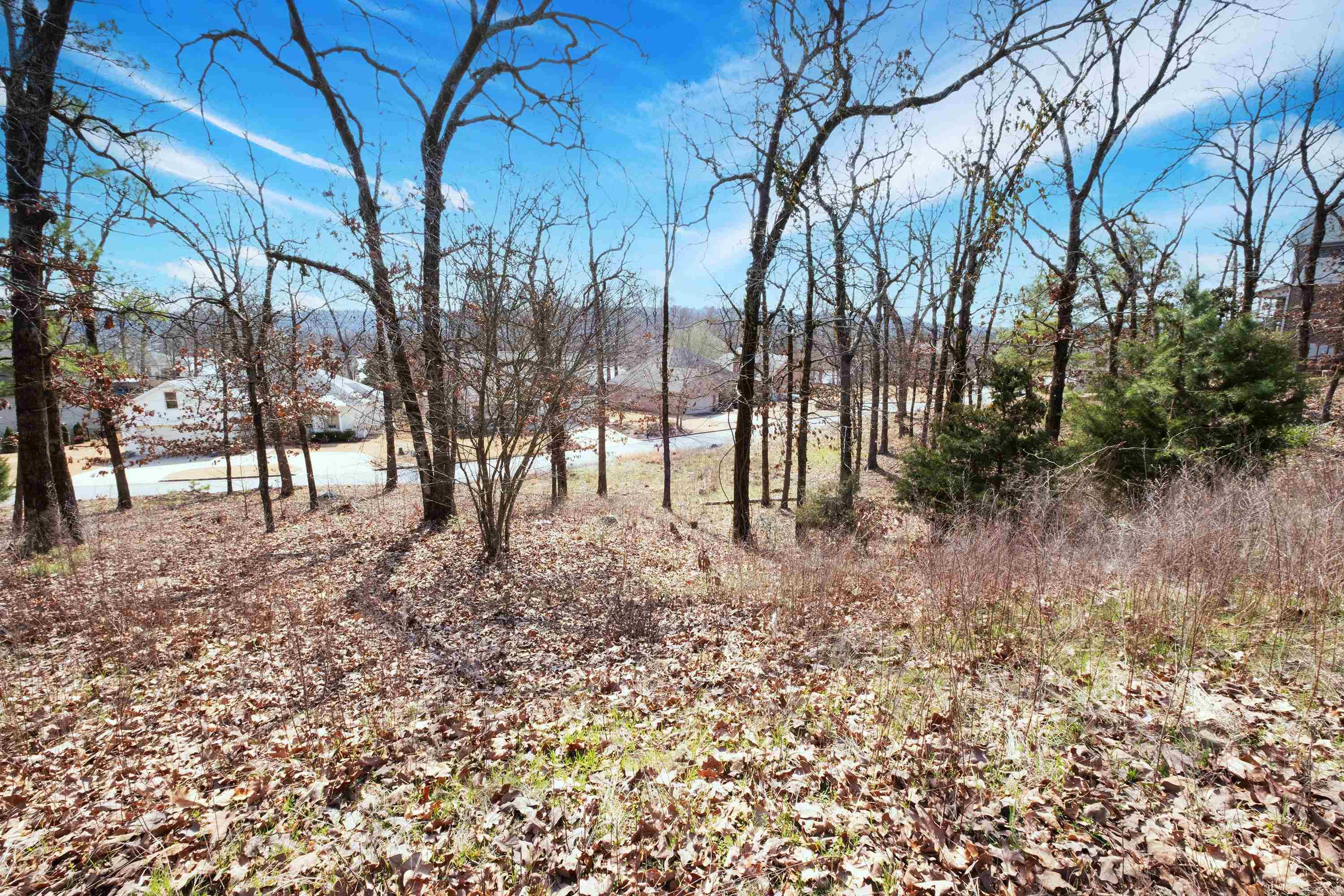 112  Turtle Creek  Maumelle, AR