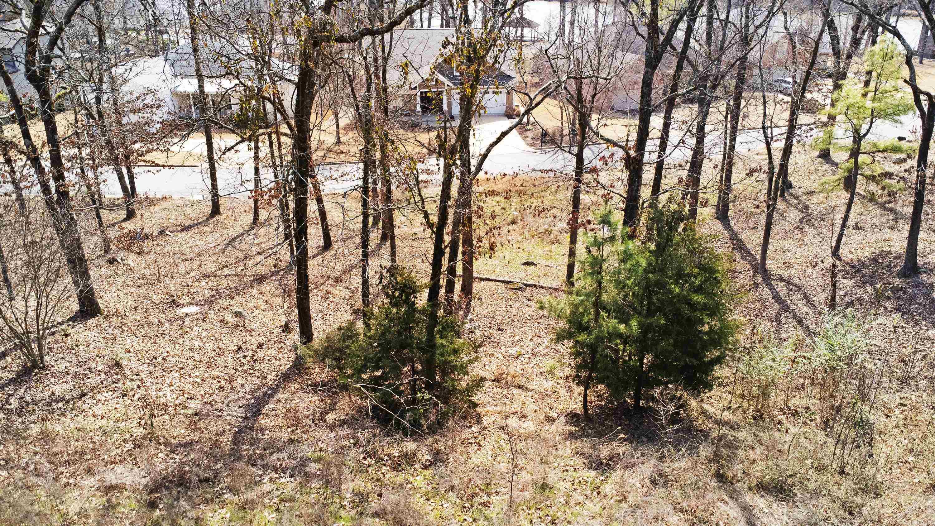 112  Turtle Creek  Maumelle, AR