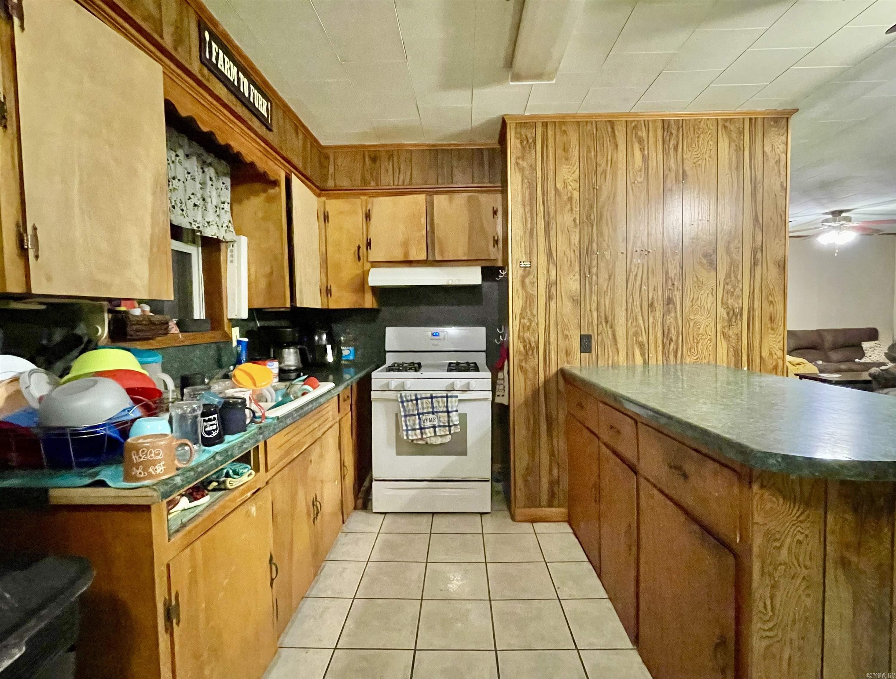 229 E Elm St  Alicia, AR