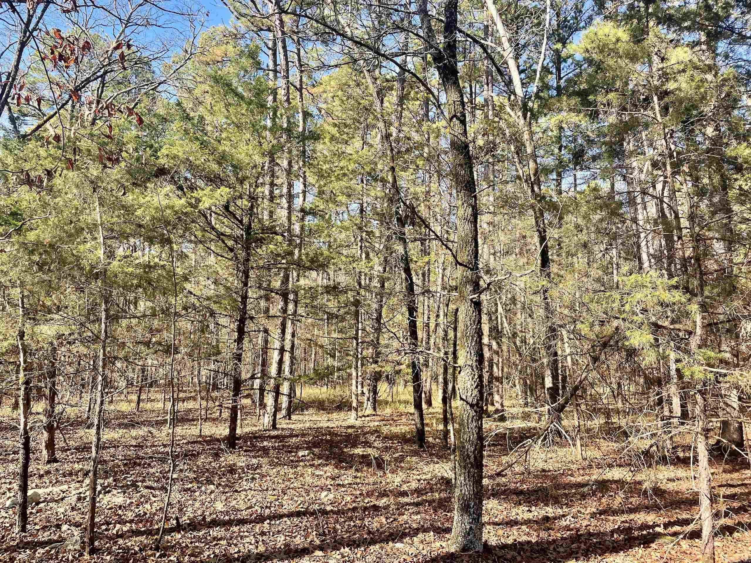 000  State HWY 60  Plainview, AR