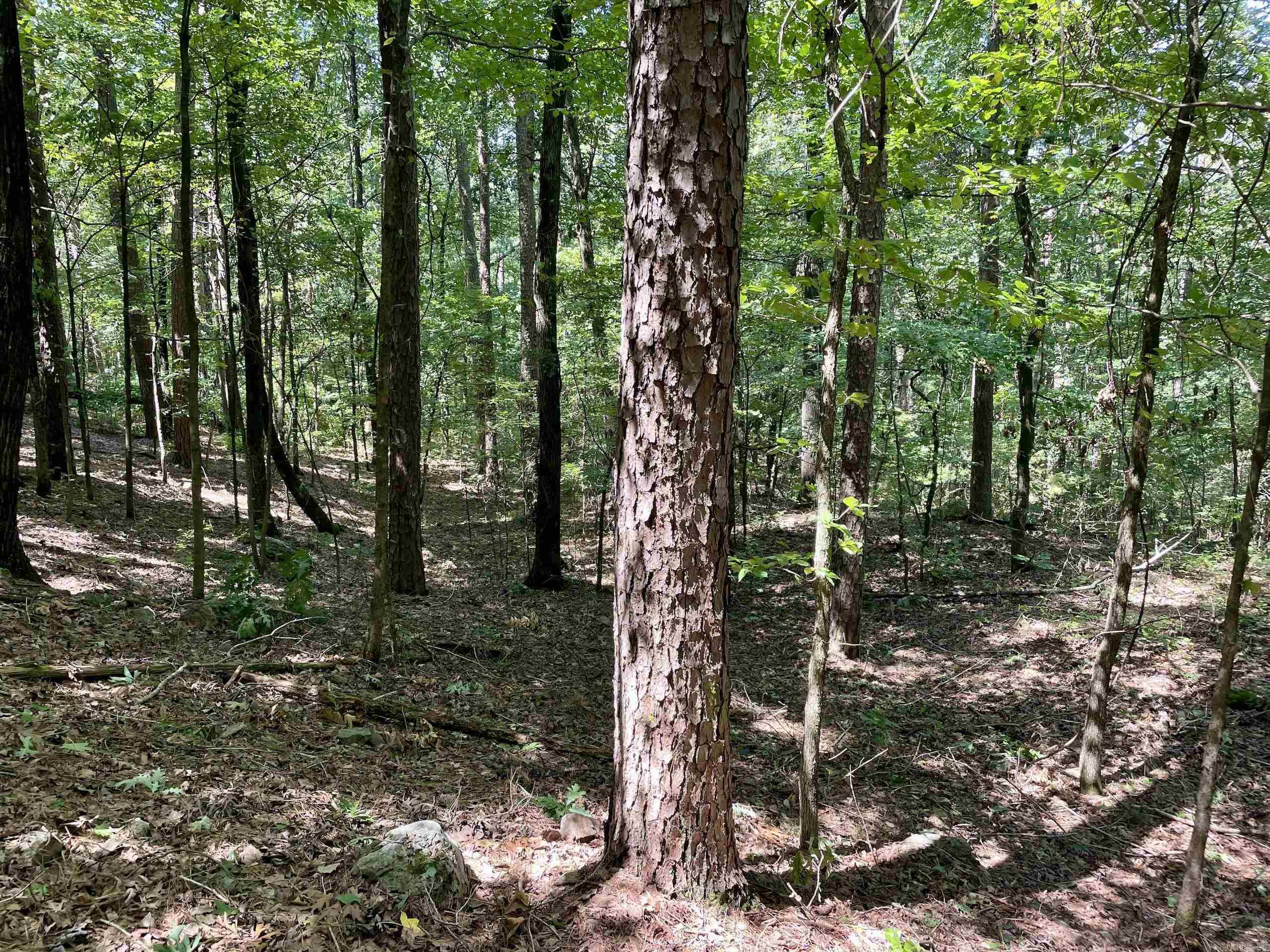 000  HWY 10  Havana, AR