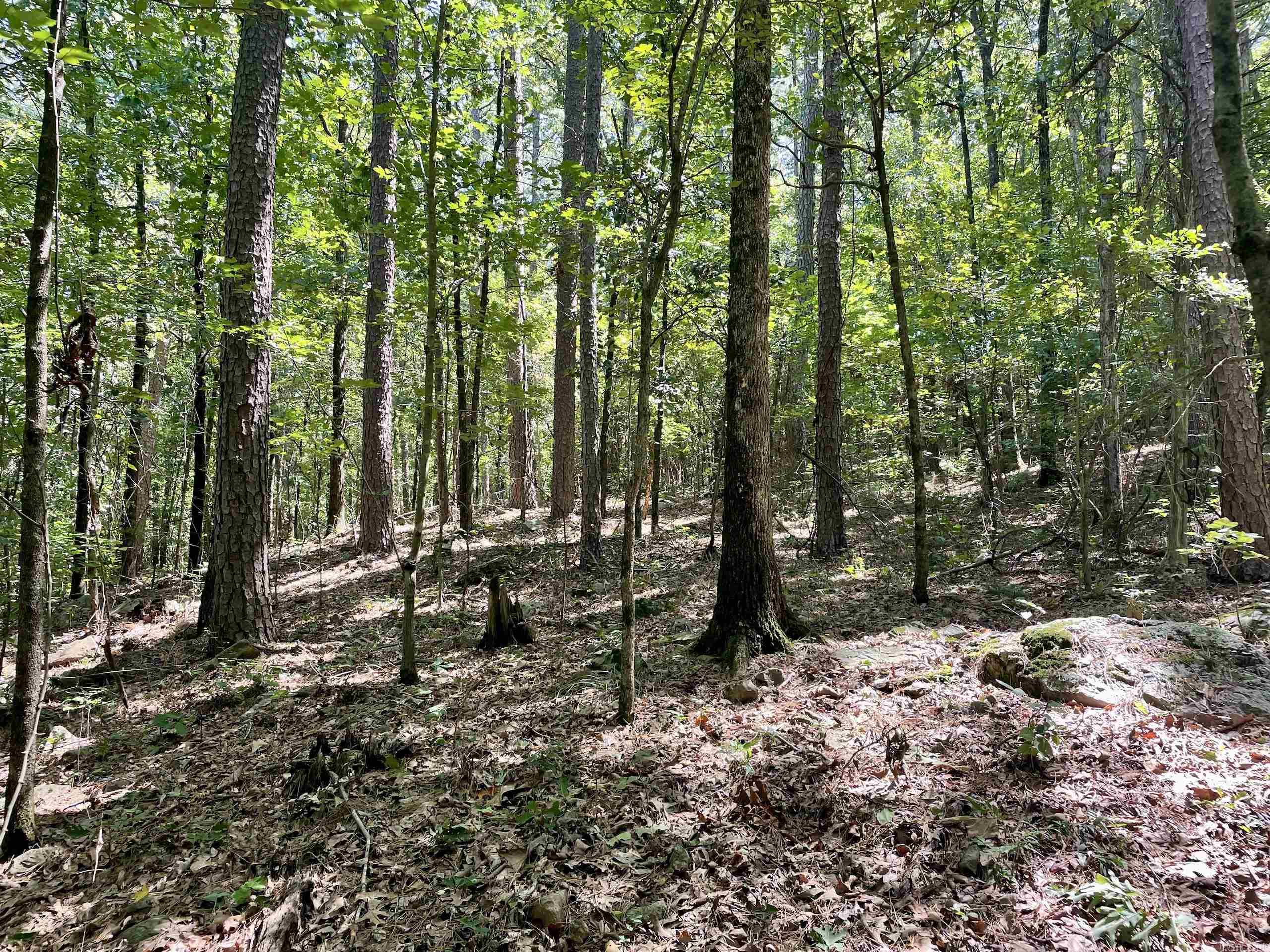 000  HWY 10  Havana, AR