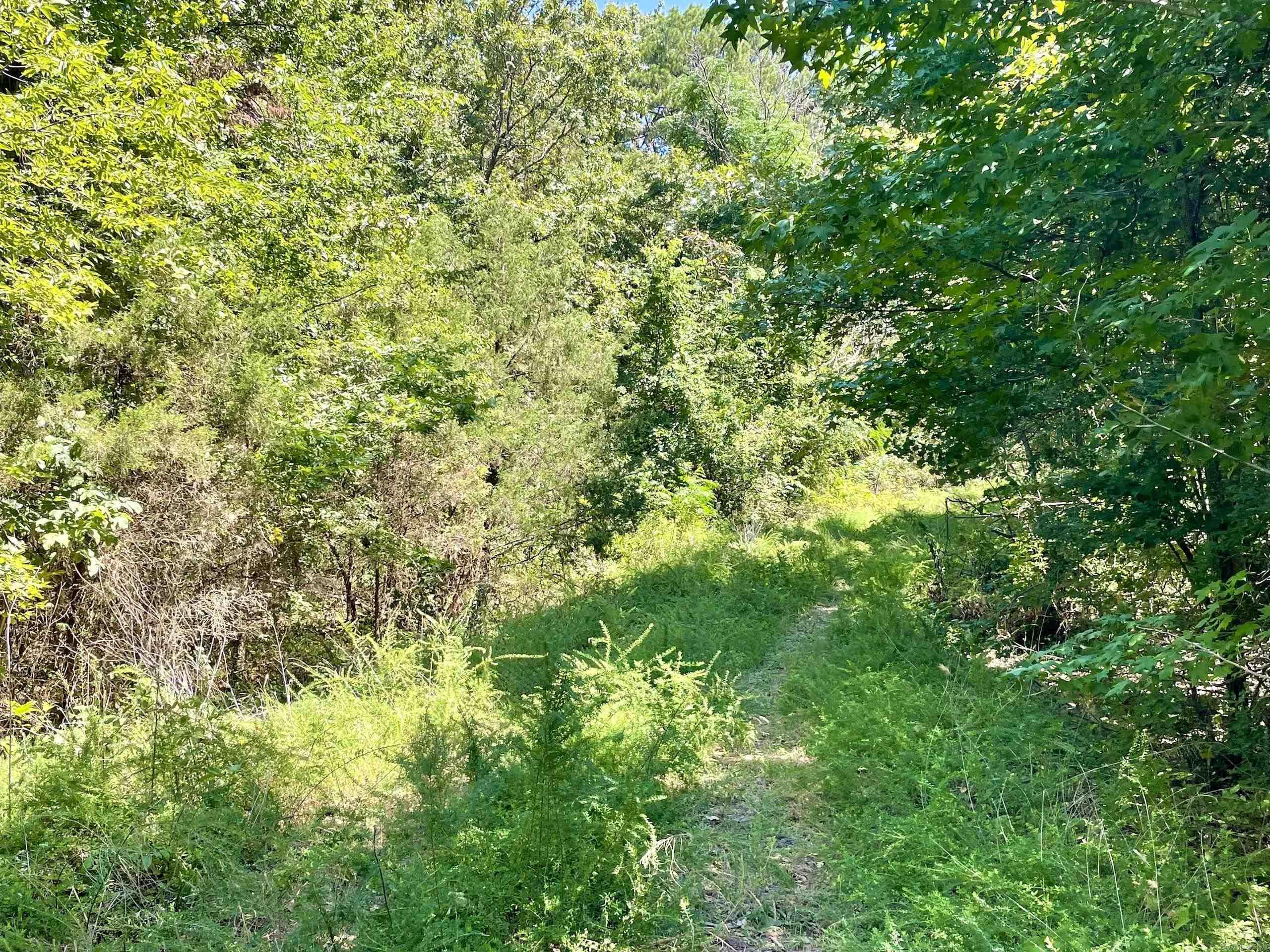 000  HWY 10  Havana, AR