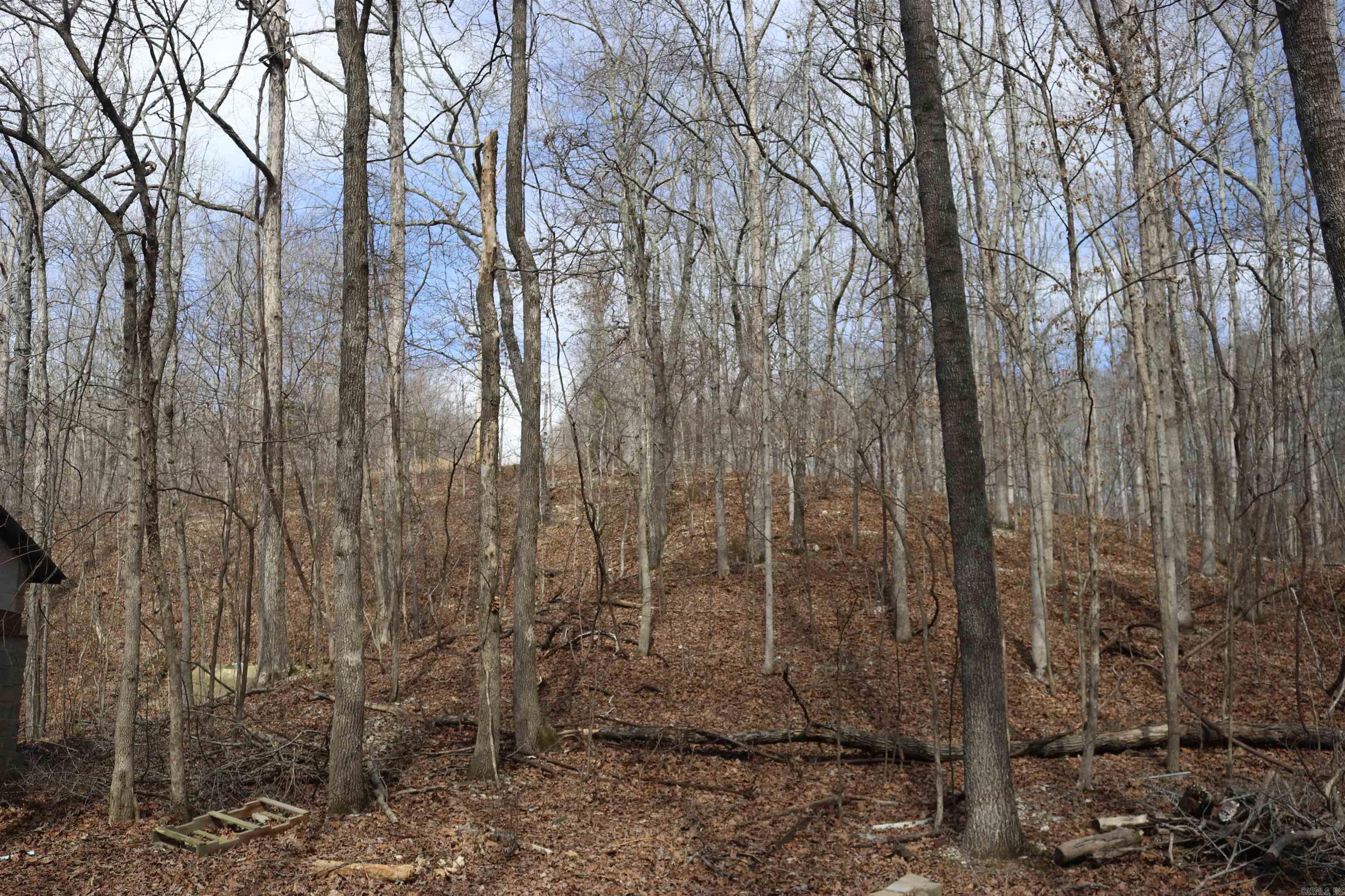 355  Arnold Hollow  Mountain View, AR