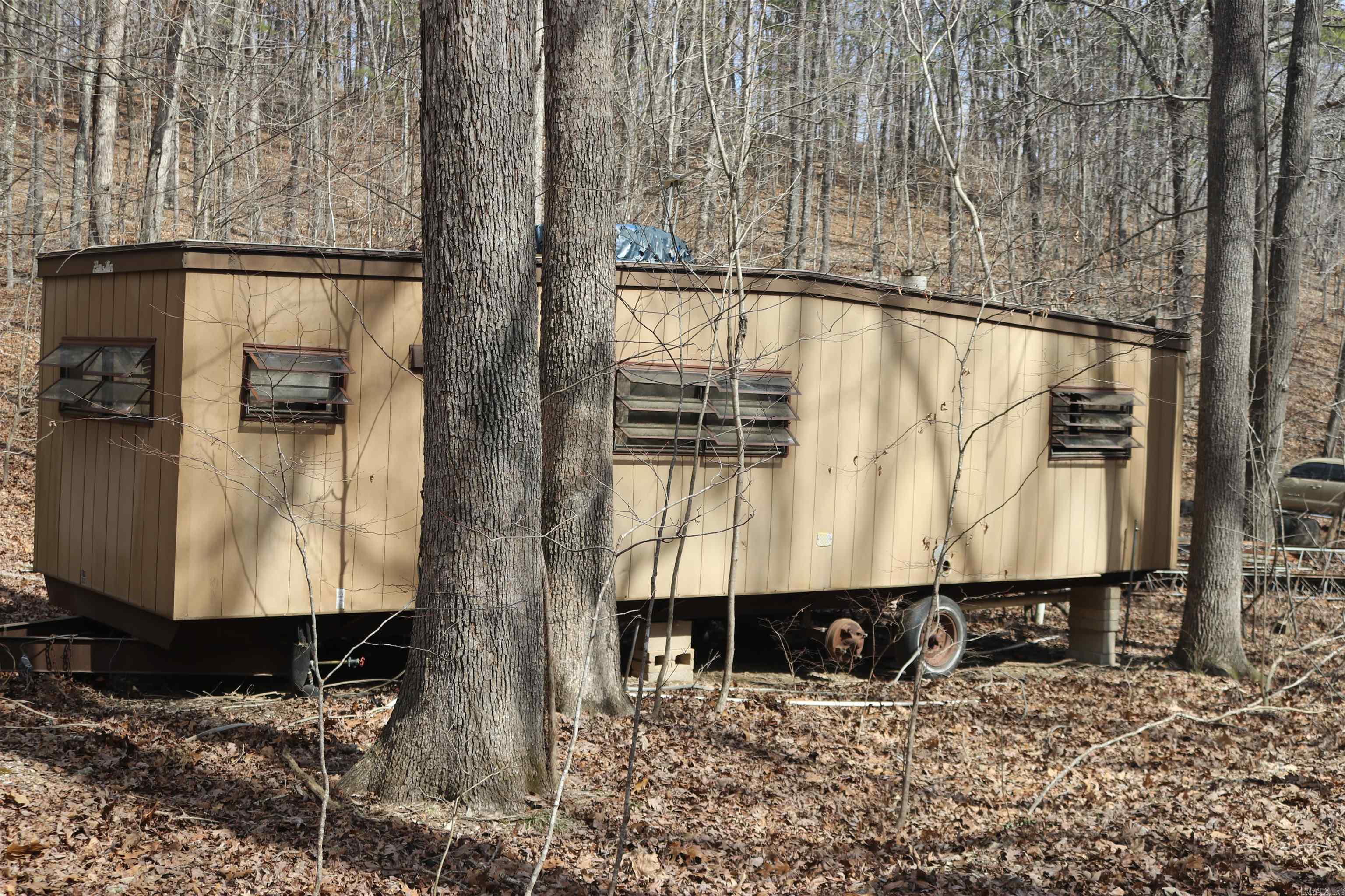 355  Arnold Hollow  Mountain View, AR