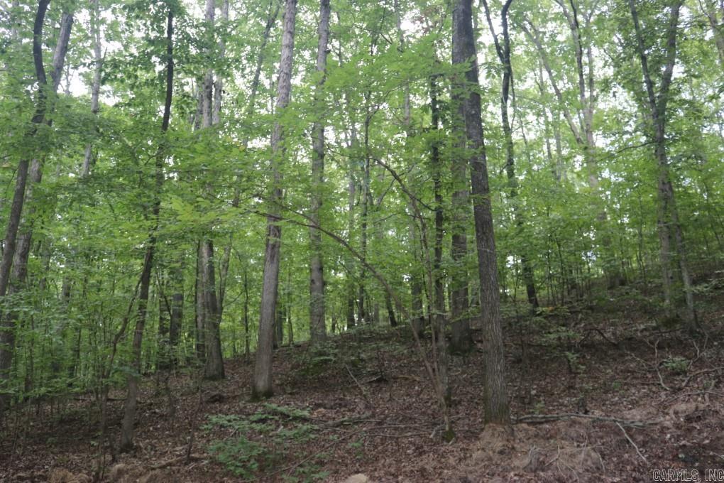 355  Arnold Hollow  Mountain View, AR