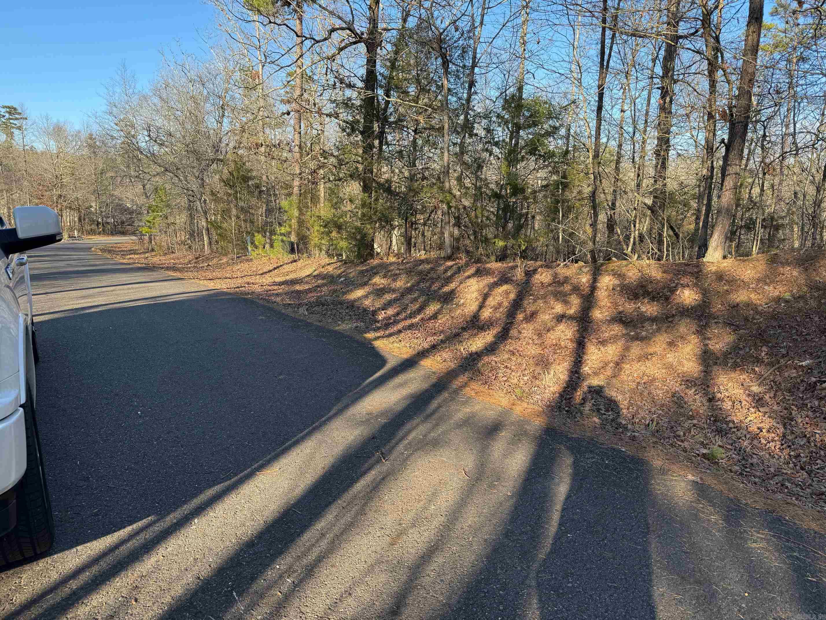 29  ANDORRA LANE  Hot Springs Village, AR