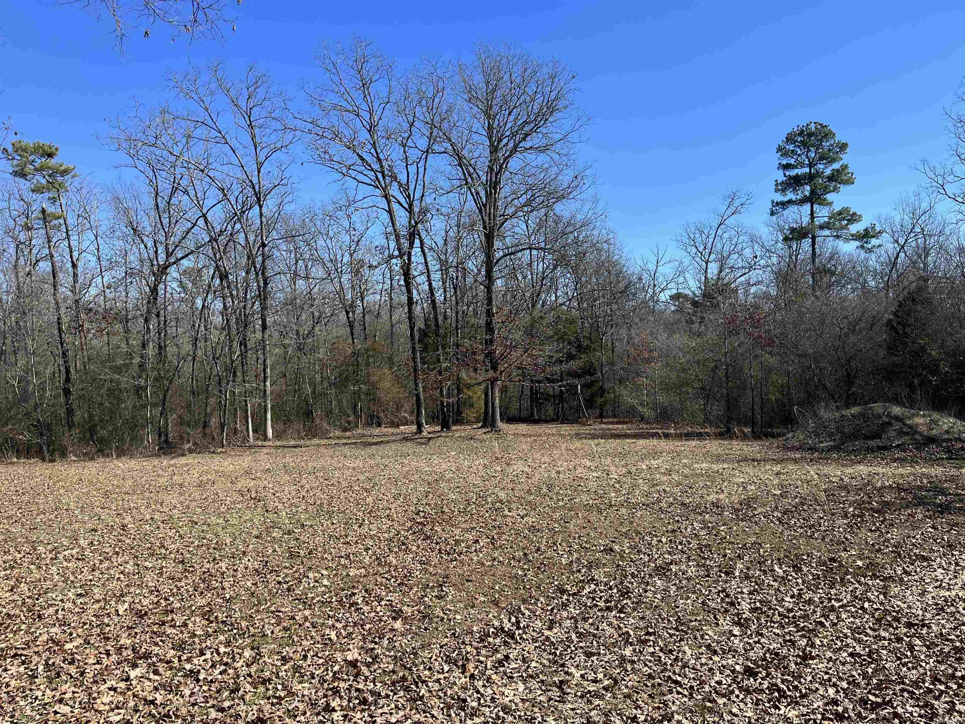 204  Cardinal Ln.  Mena, AR