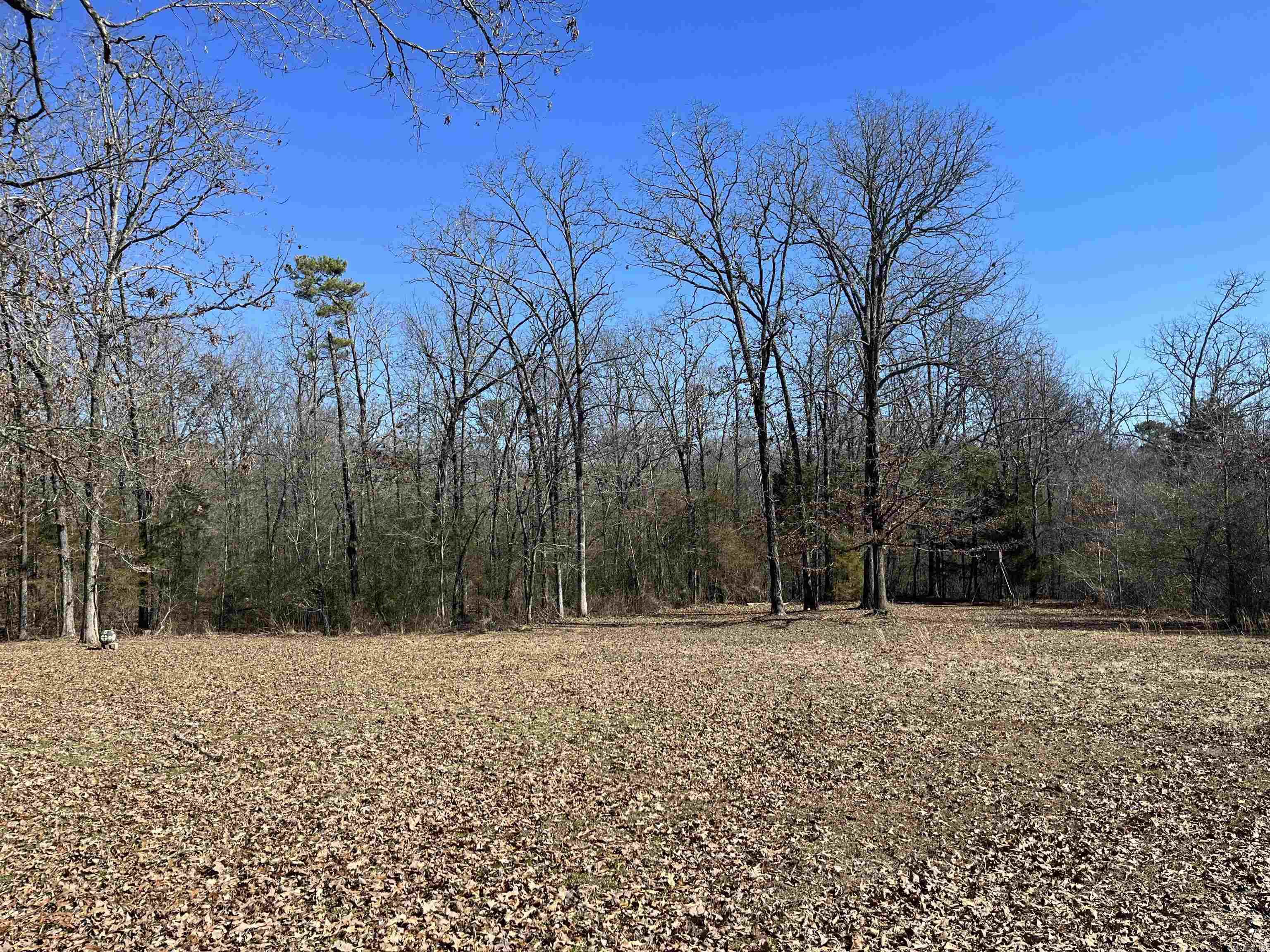 204  Cardinal Ln.  Mena, AR