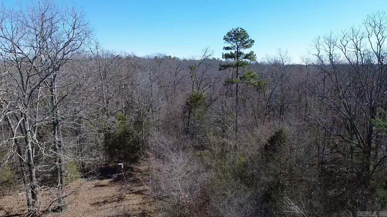 204  Cardinal Ln.  Mena, AR