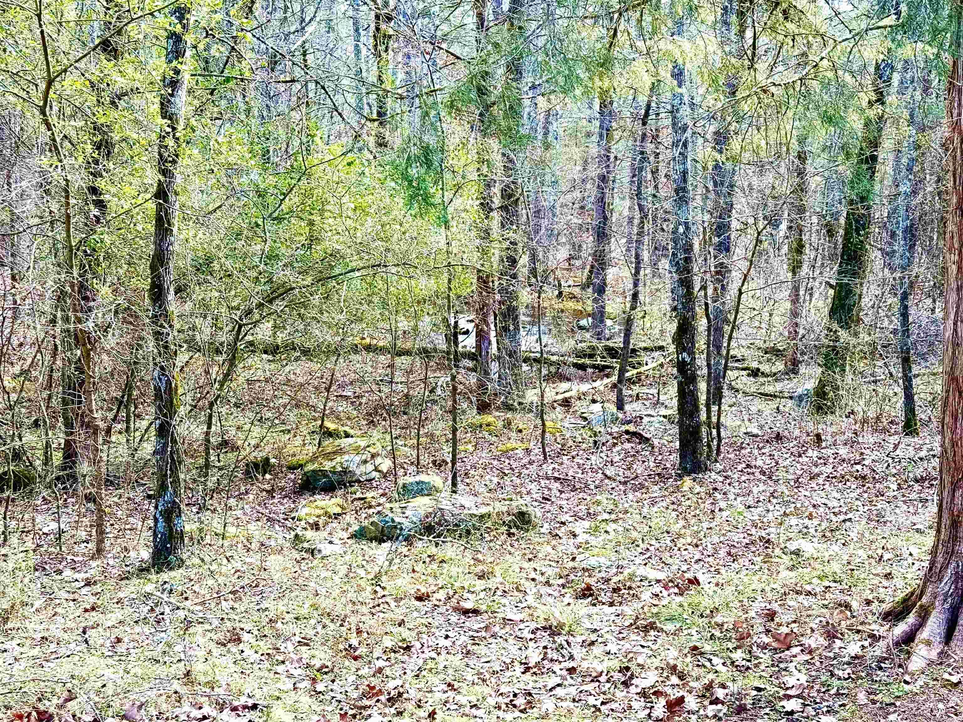 12058  Hwy 92 E  Higden, AR