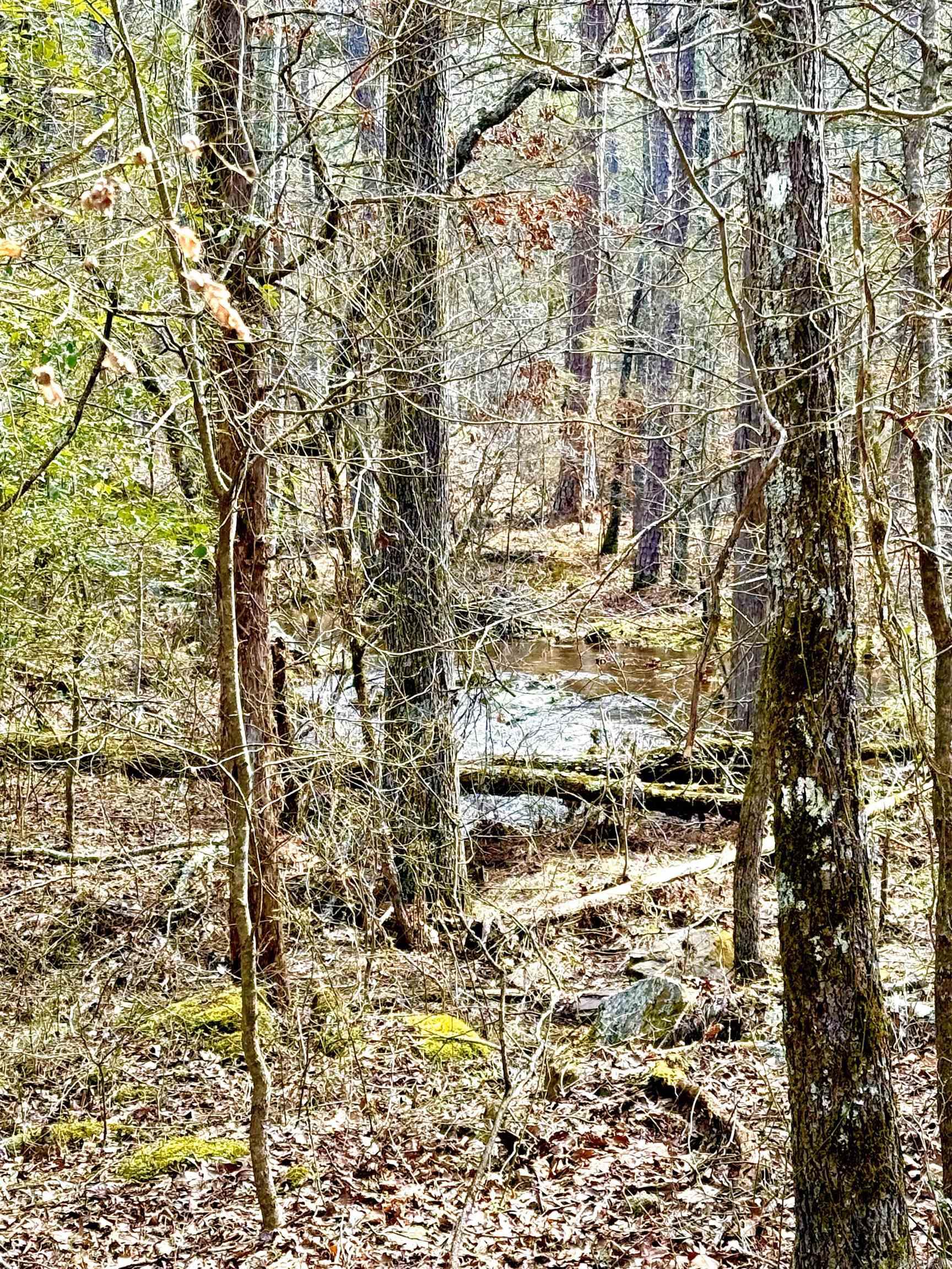 12058  Hwy 92 E  Higden, AR