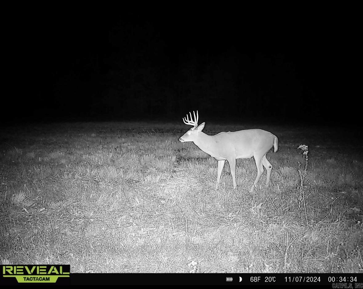 000  Hwy. 13  McRae, AR
