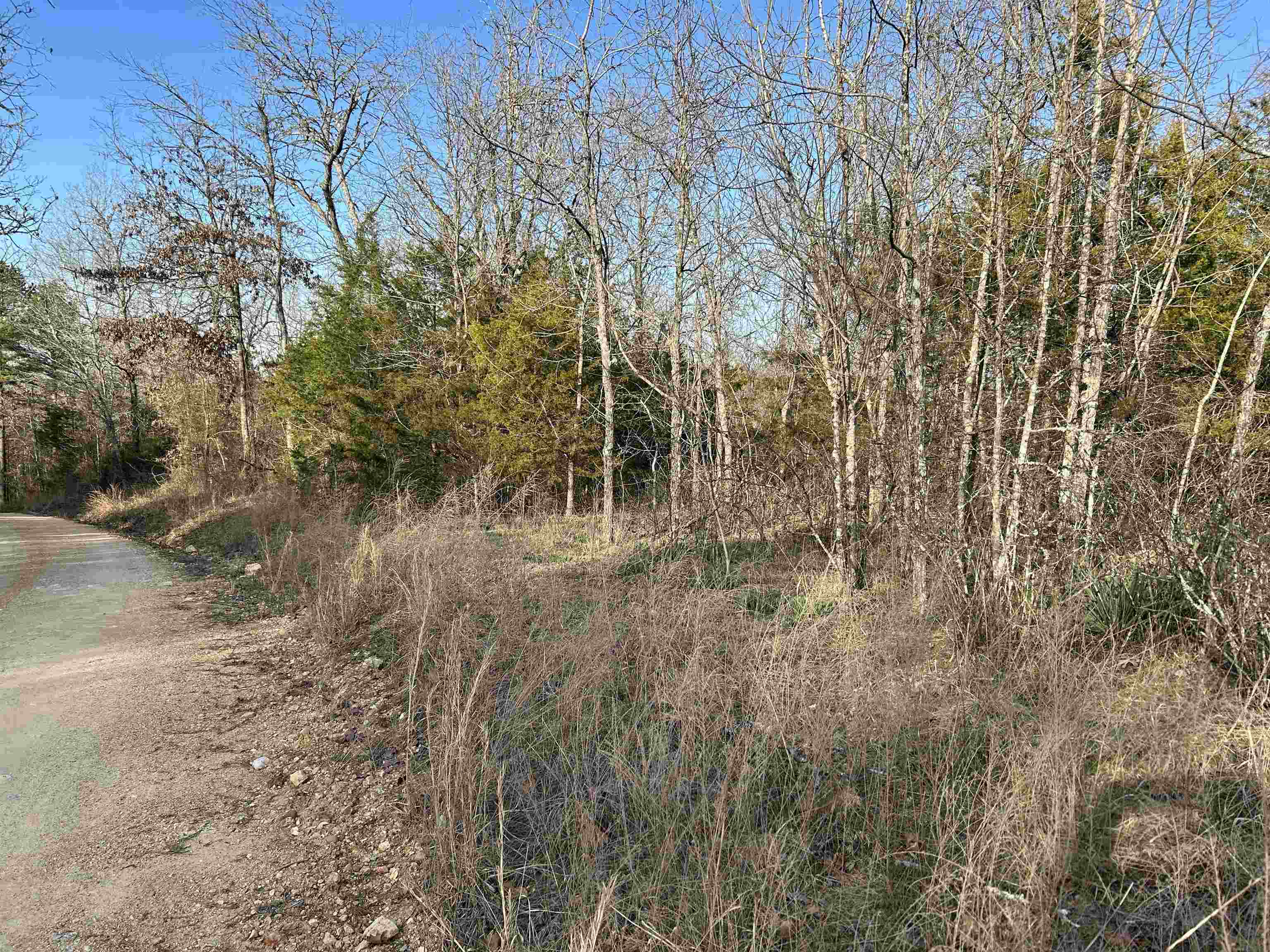 000  County Road 145  Alton, MO