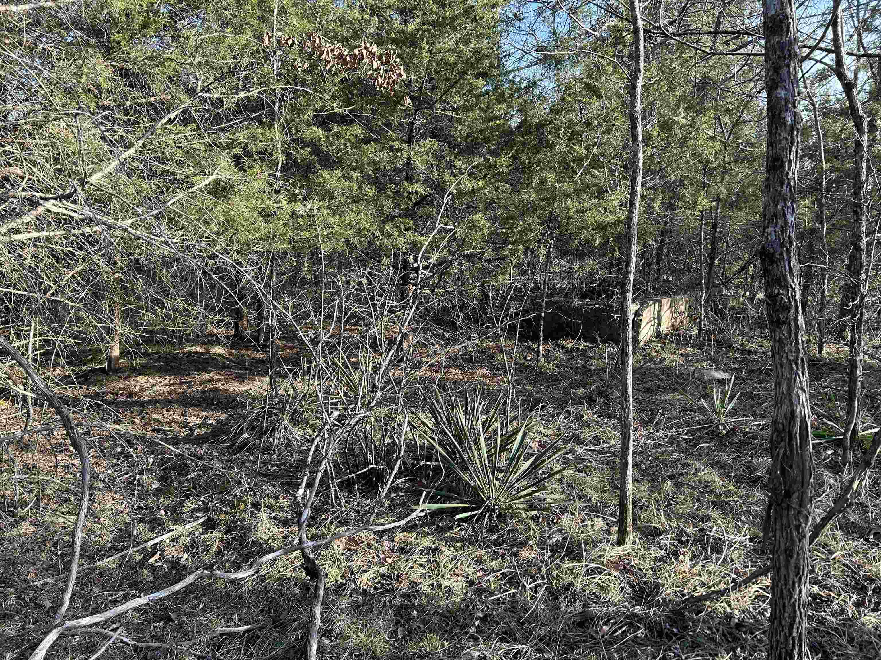 000  County Road 145  Alton, MO