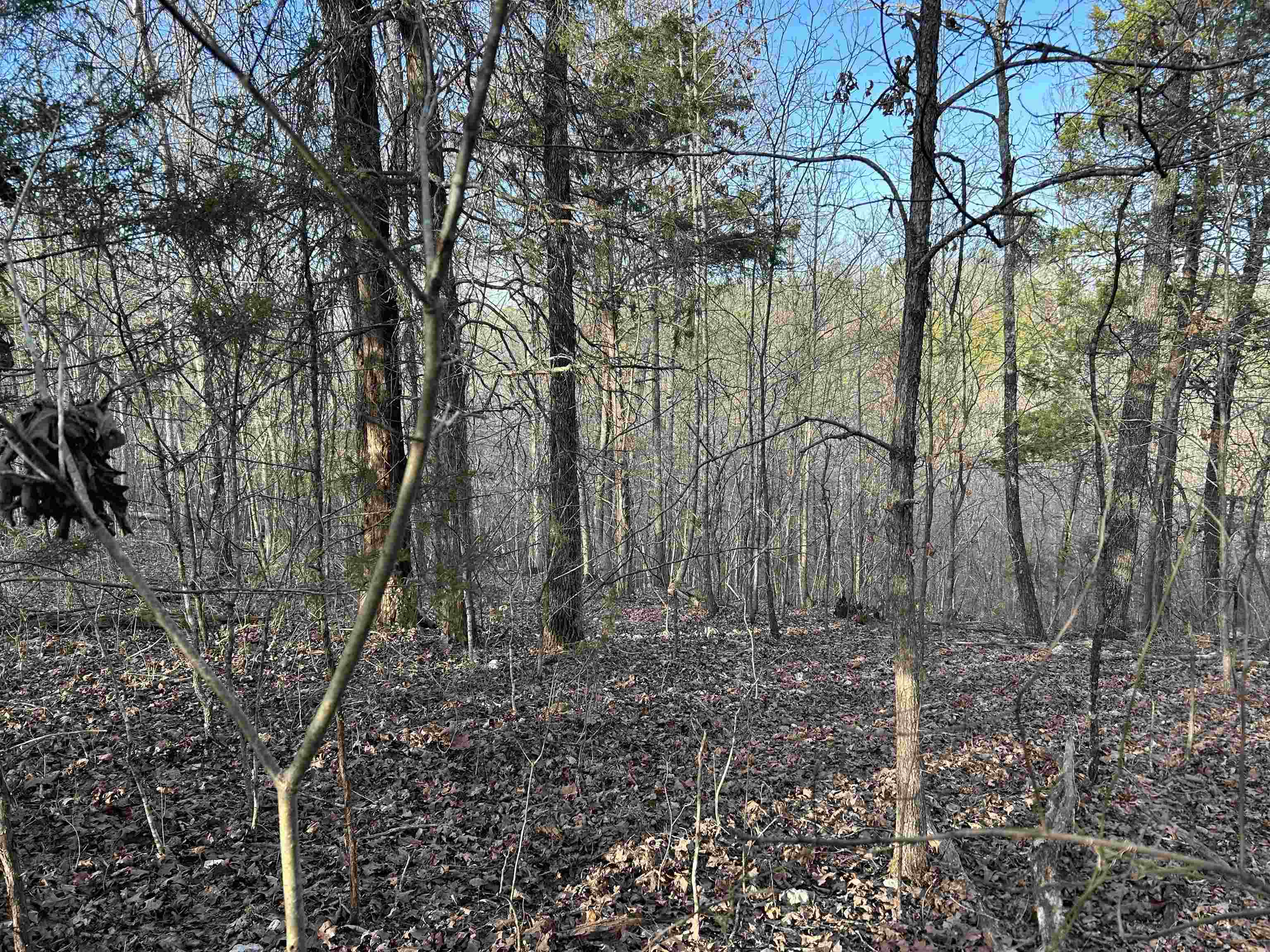 000  County Road 145  Alton, MO