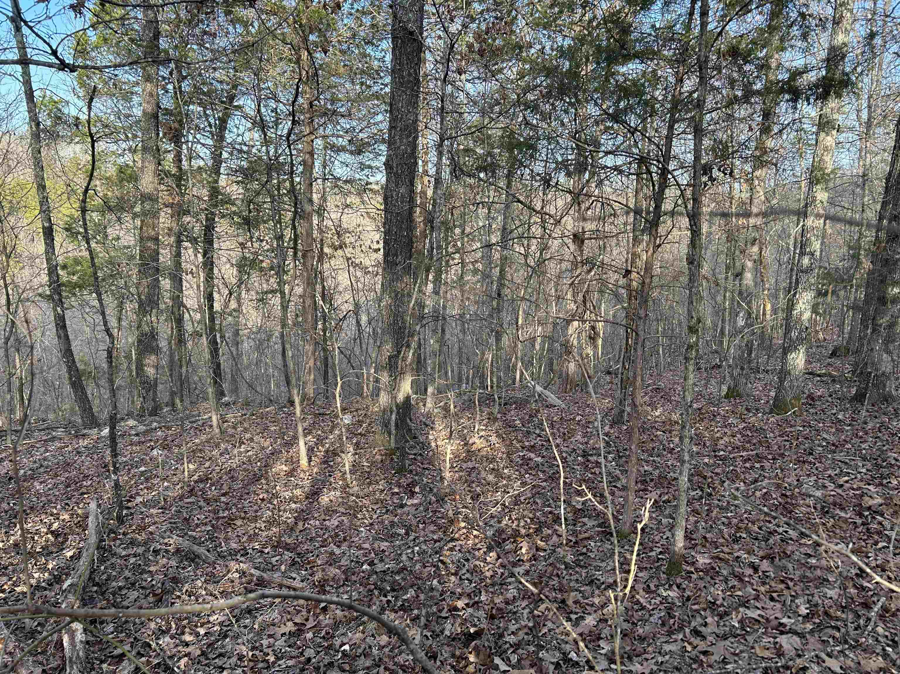 000  County Road 145  Alton, MO