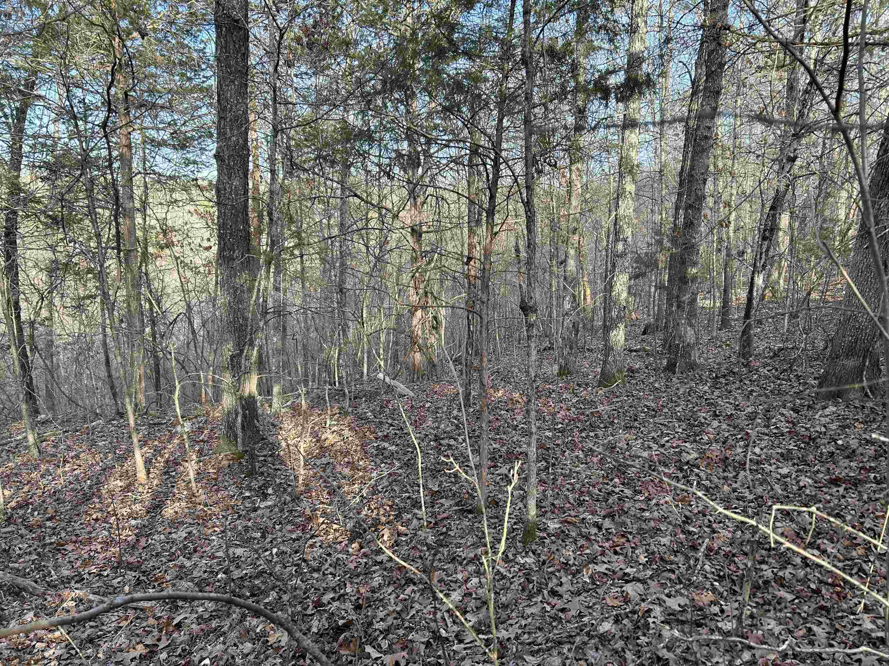 000  County Road 145  Alton, MO