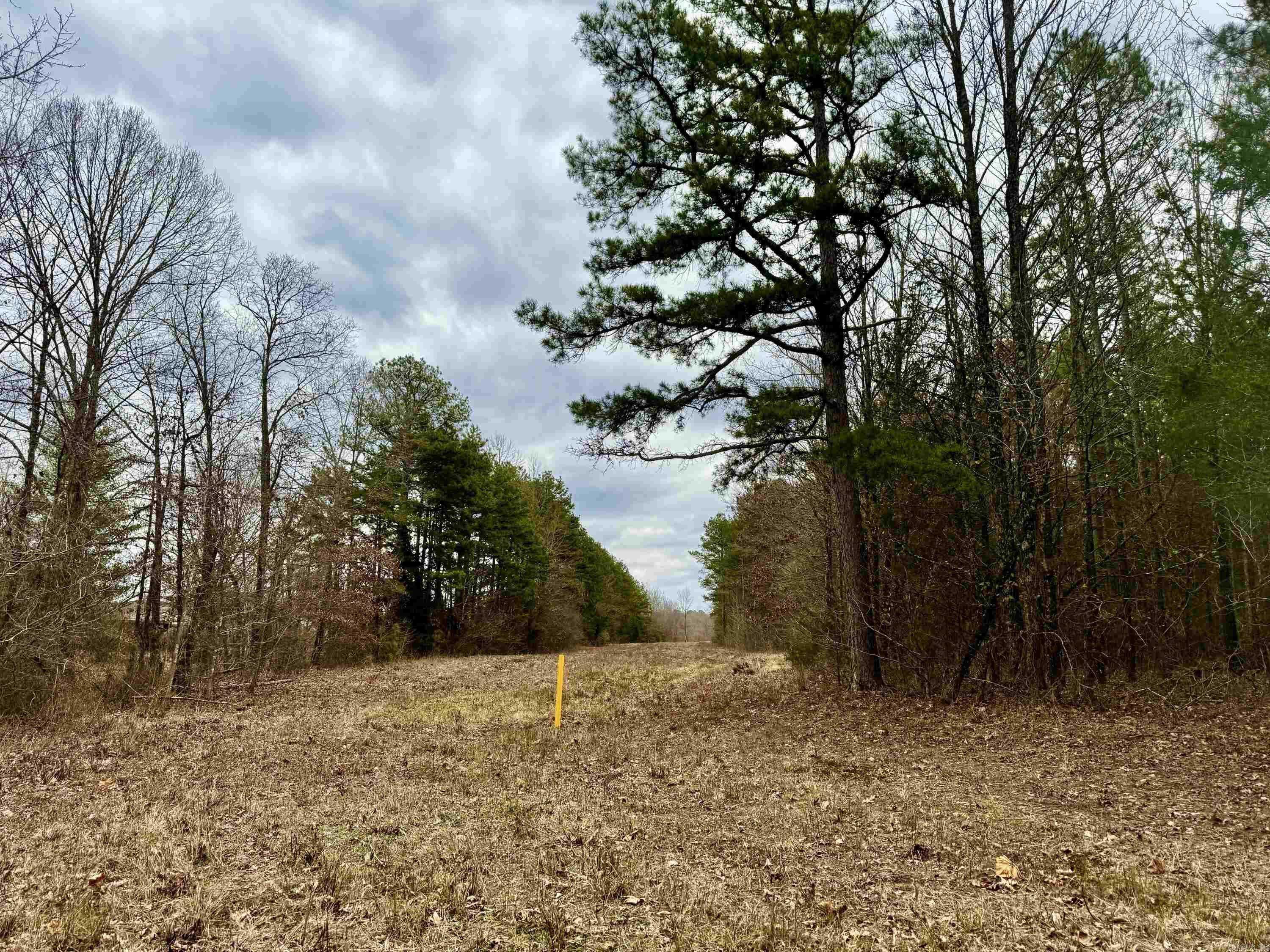 00  lawrence  Bee Branch, AR