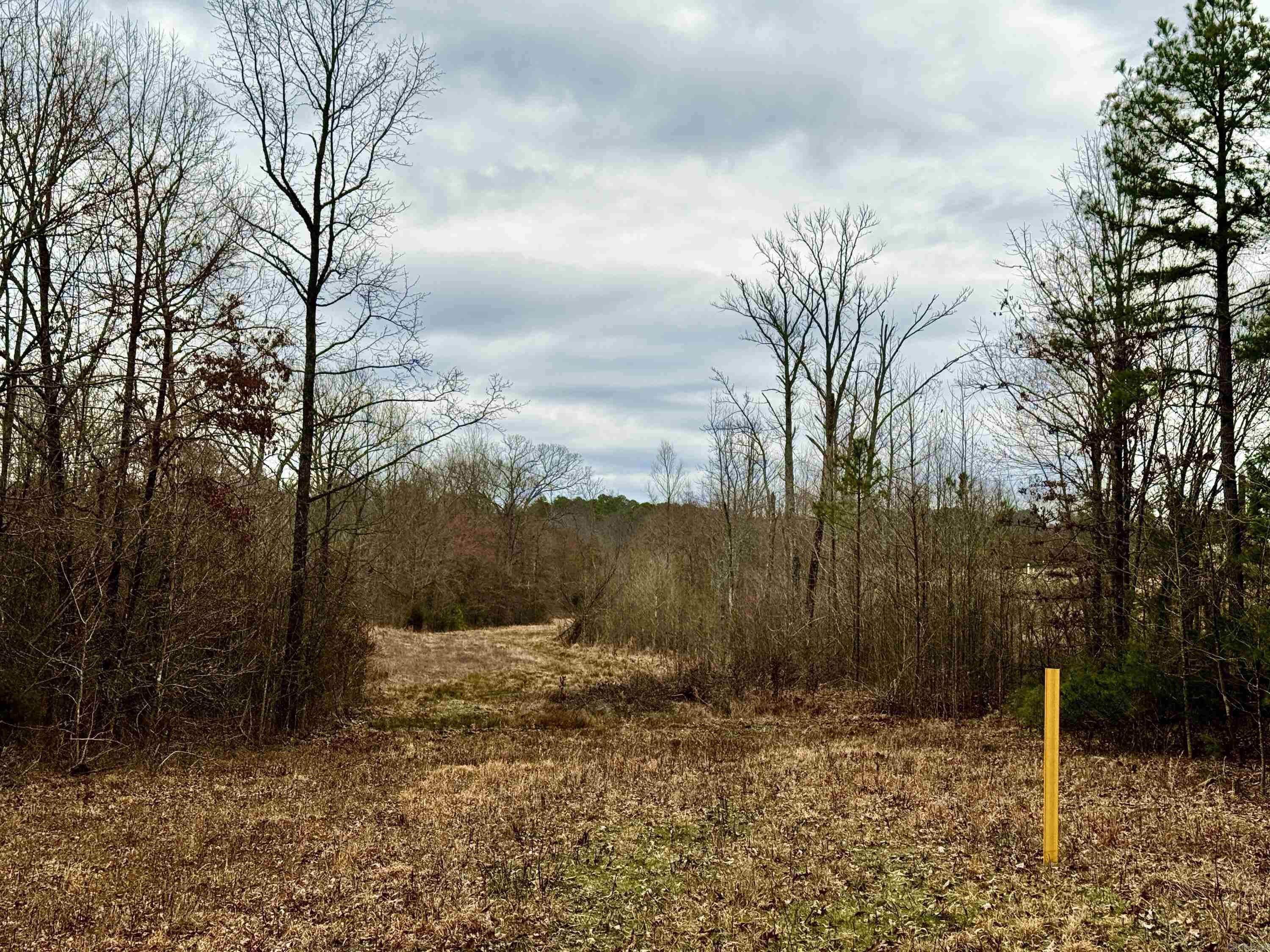 00  lawrence  Bee Branch, AR