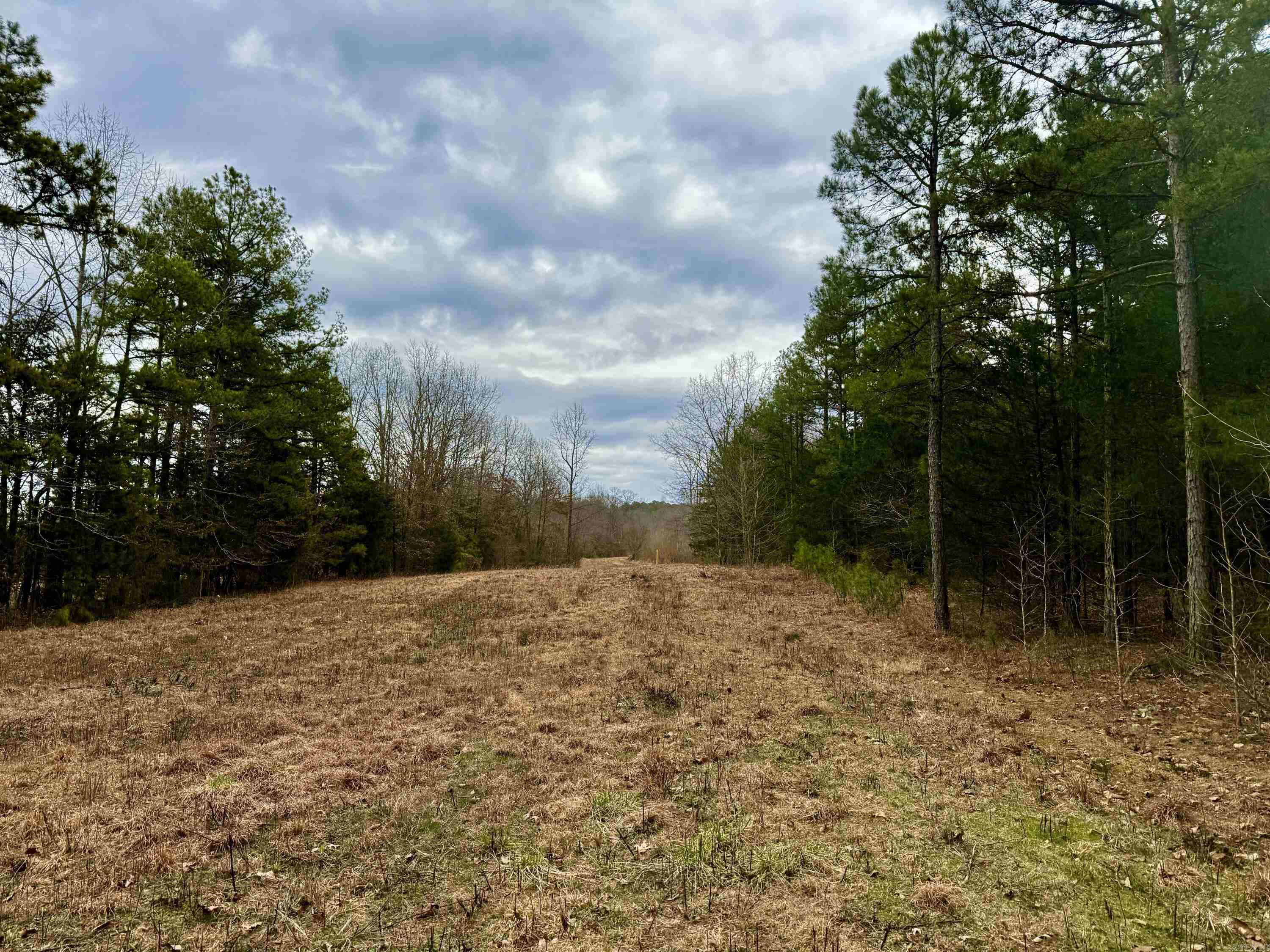 00  lawrence  Bee Branch, AR