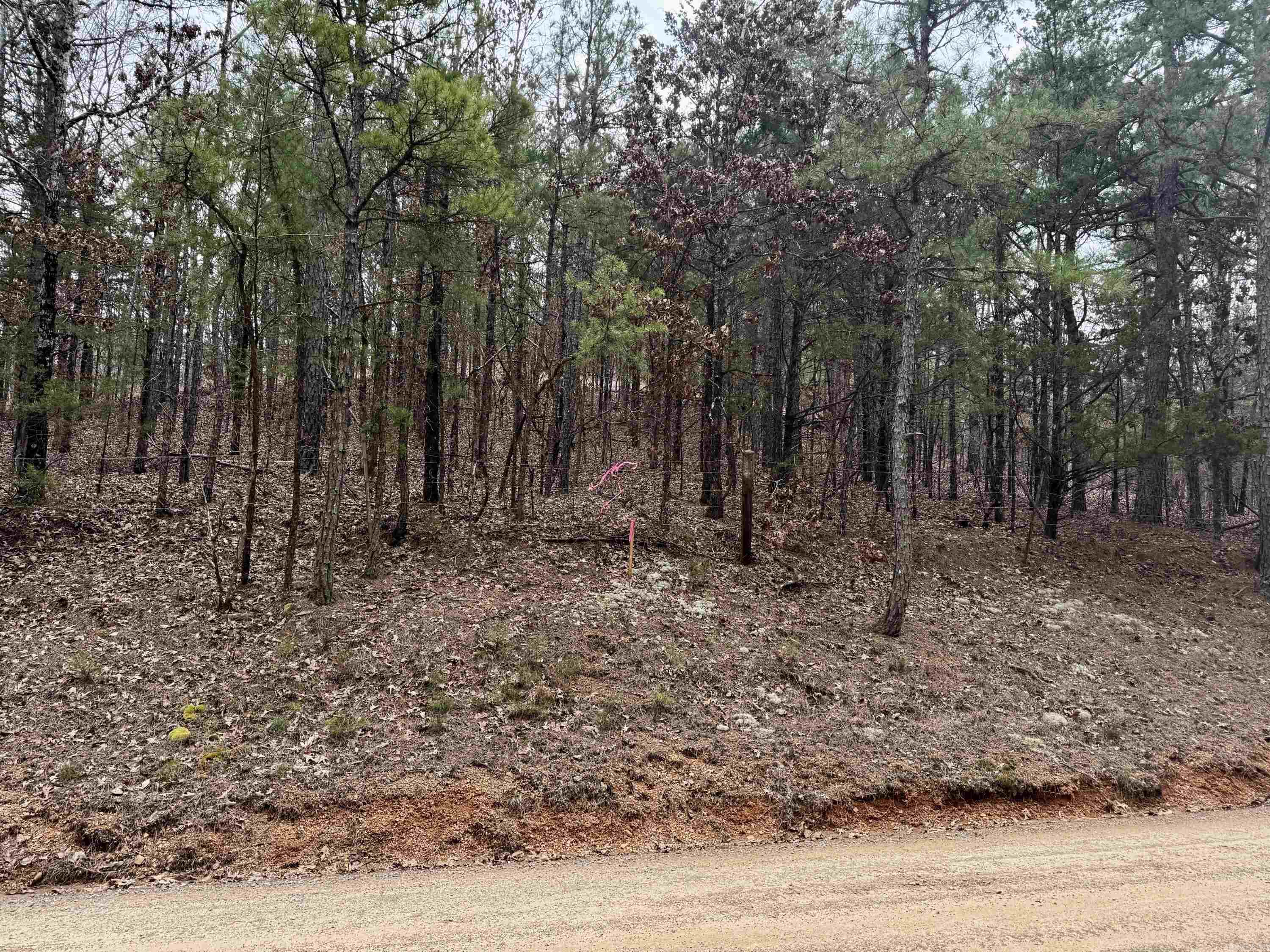 00  mt zion  Bee Branch, AR