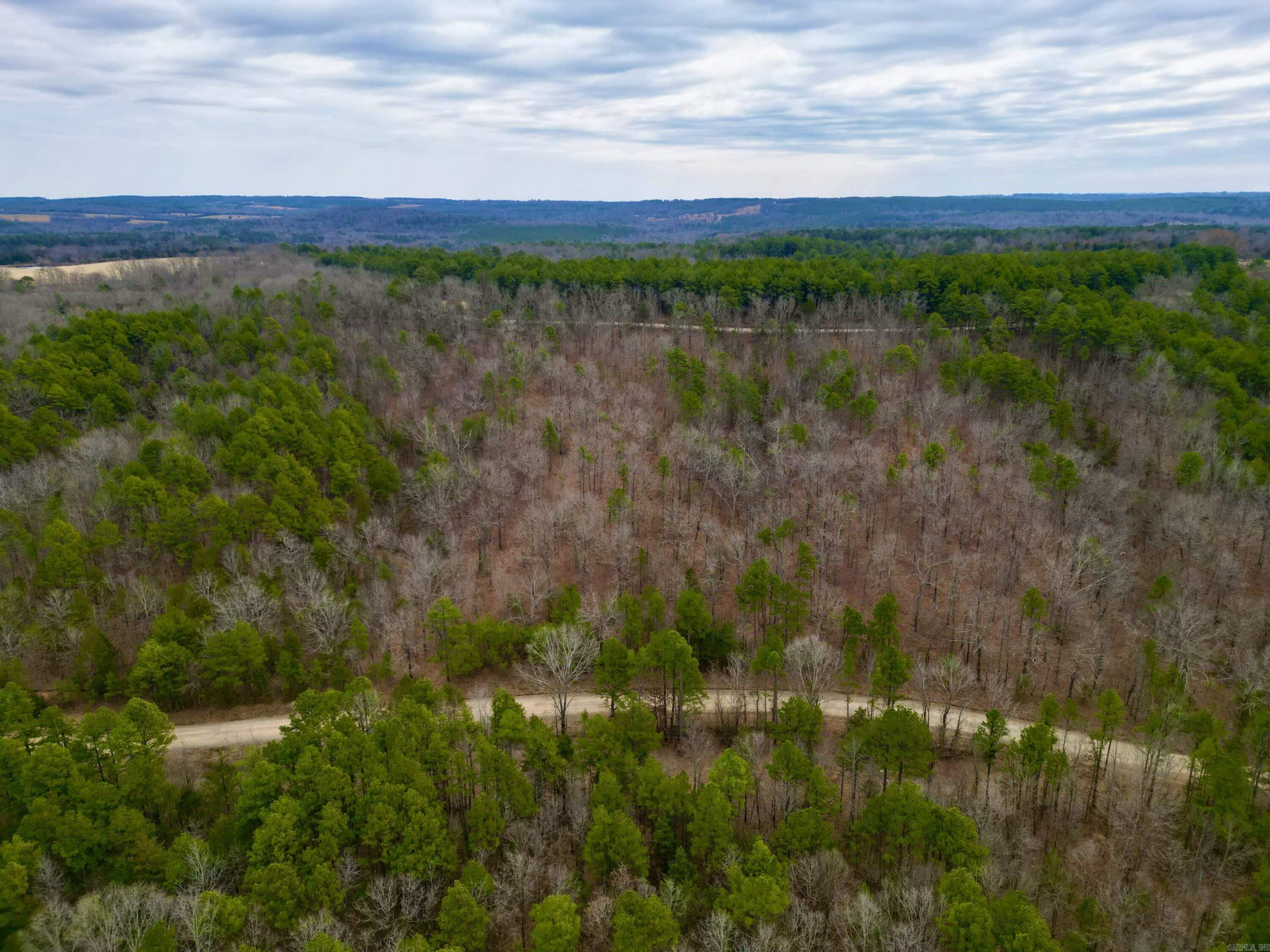 00  mt zion  Bee Branch, AR