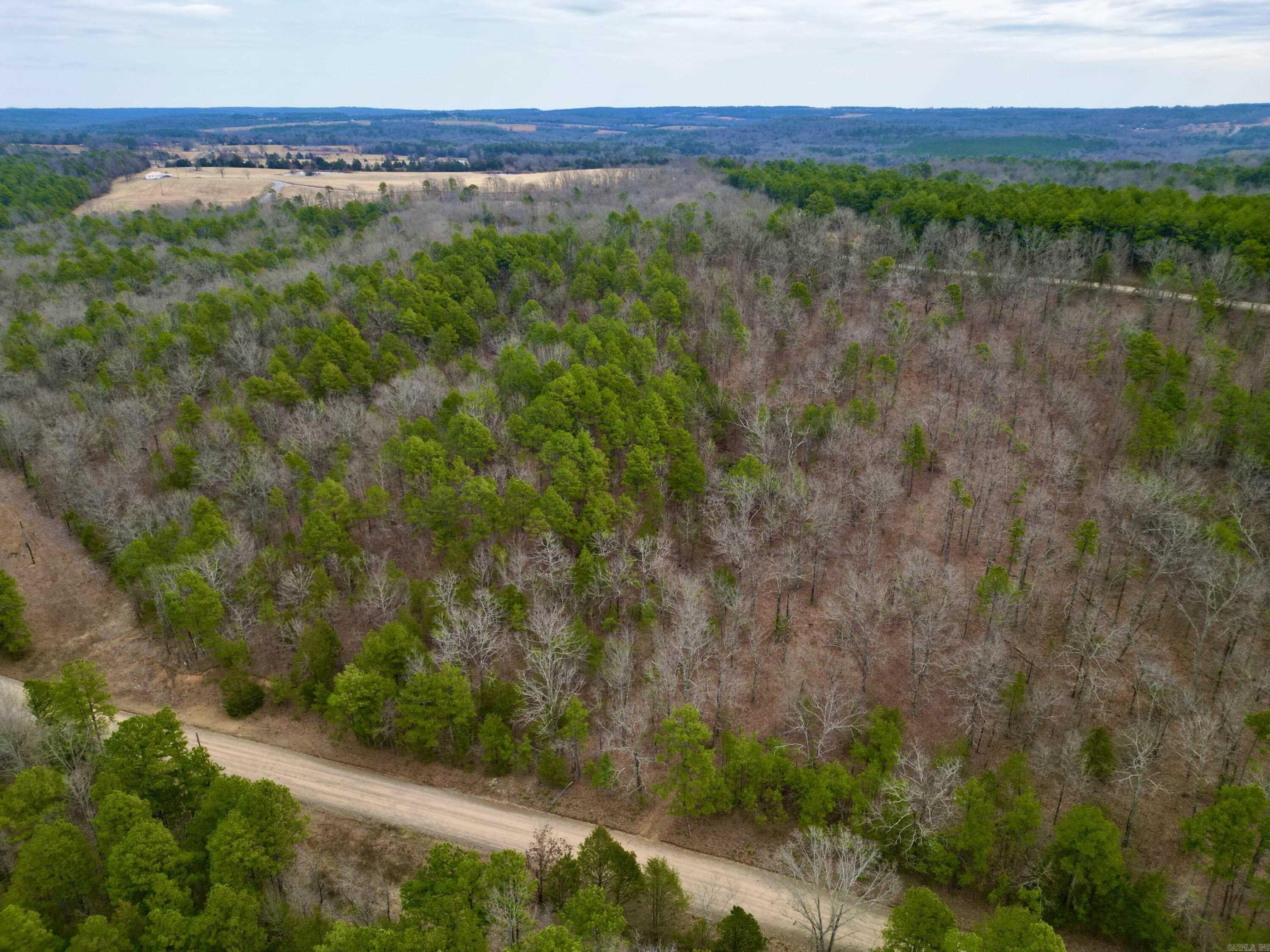 00  mt zion  Bee Branch, AR