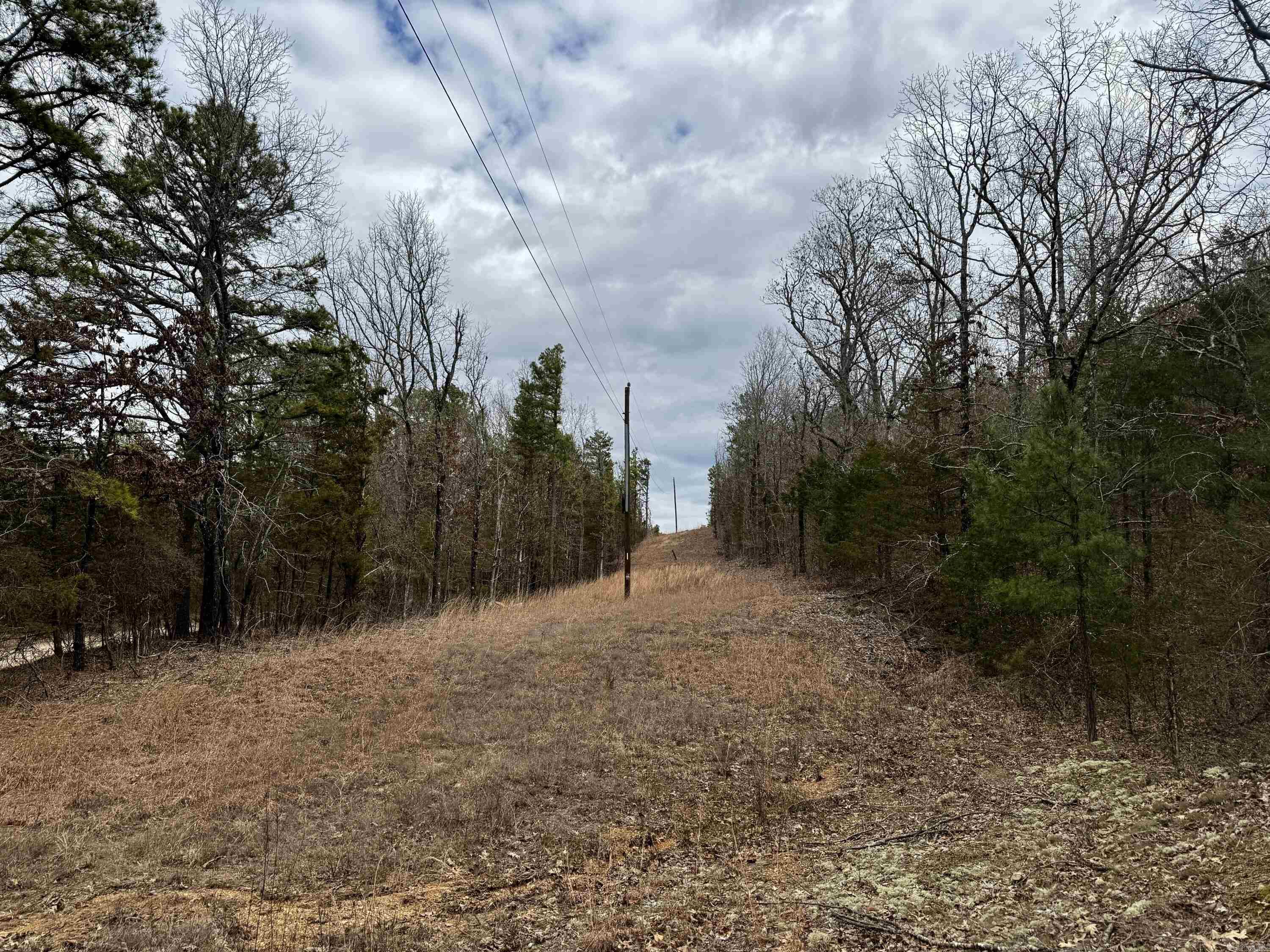 00  mt zion  Bee Branch, AR