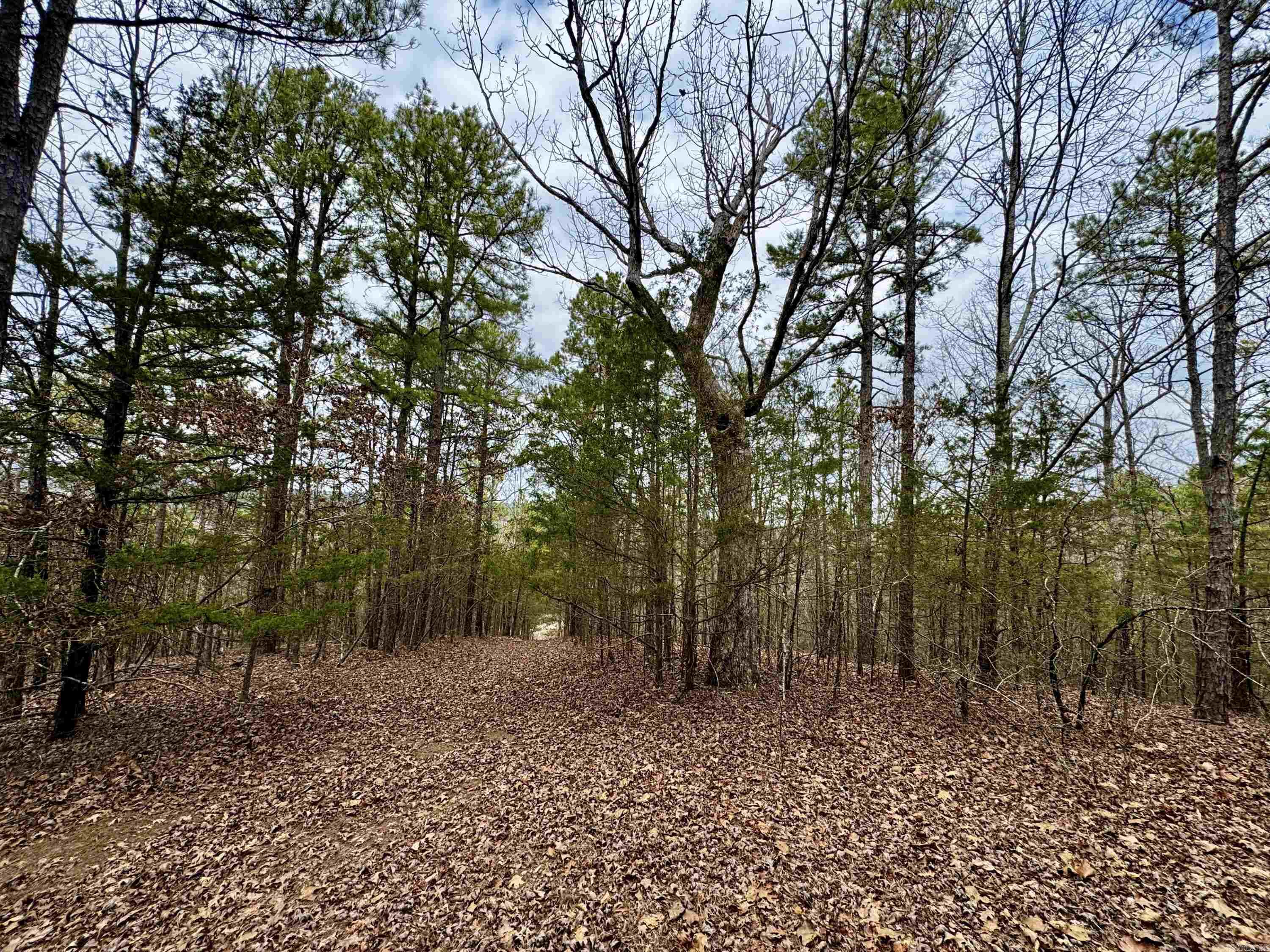 00  mt zion  Bee Branch, AR