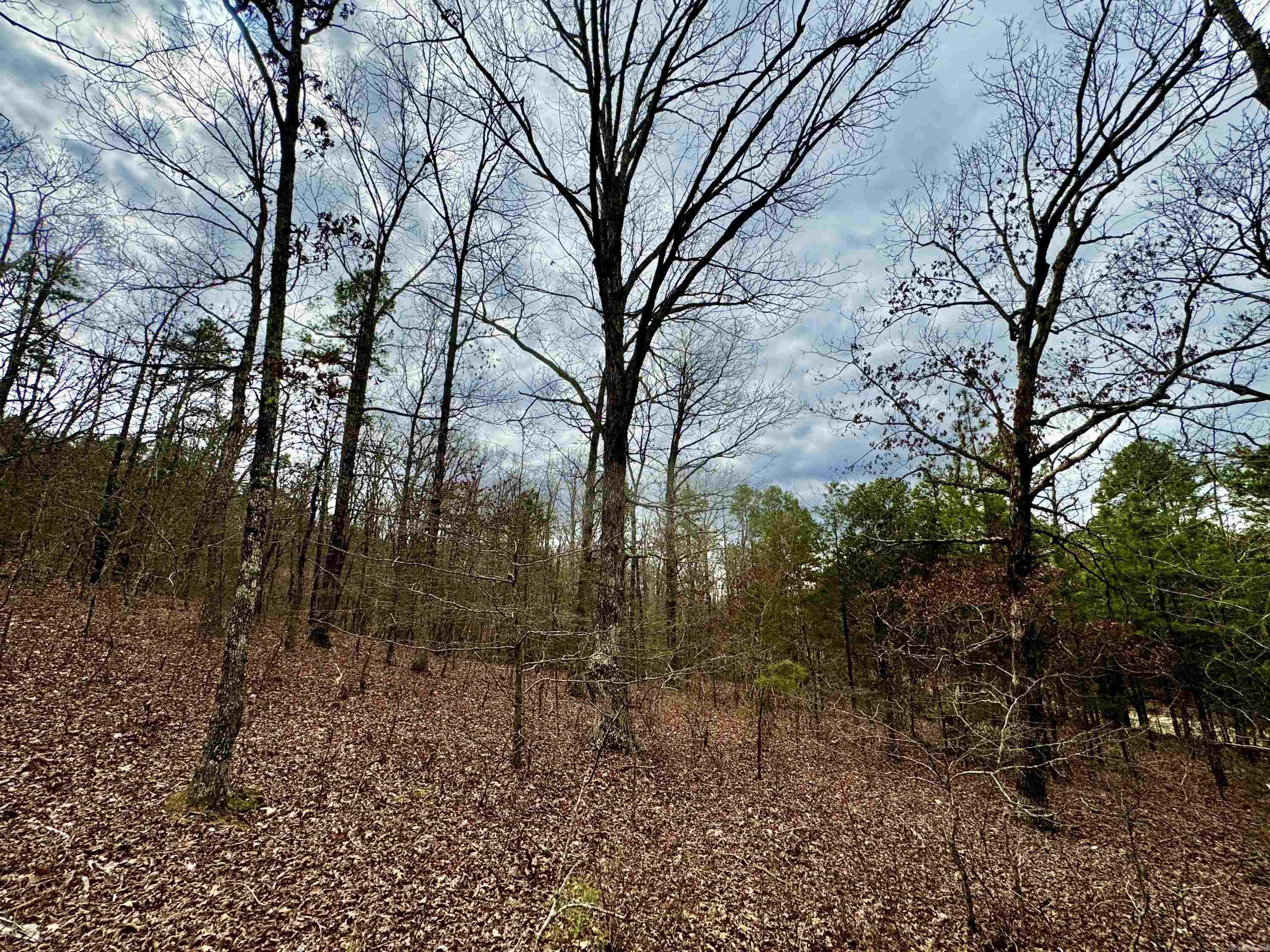 00  mt zion  Bee Branch, AR