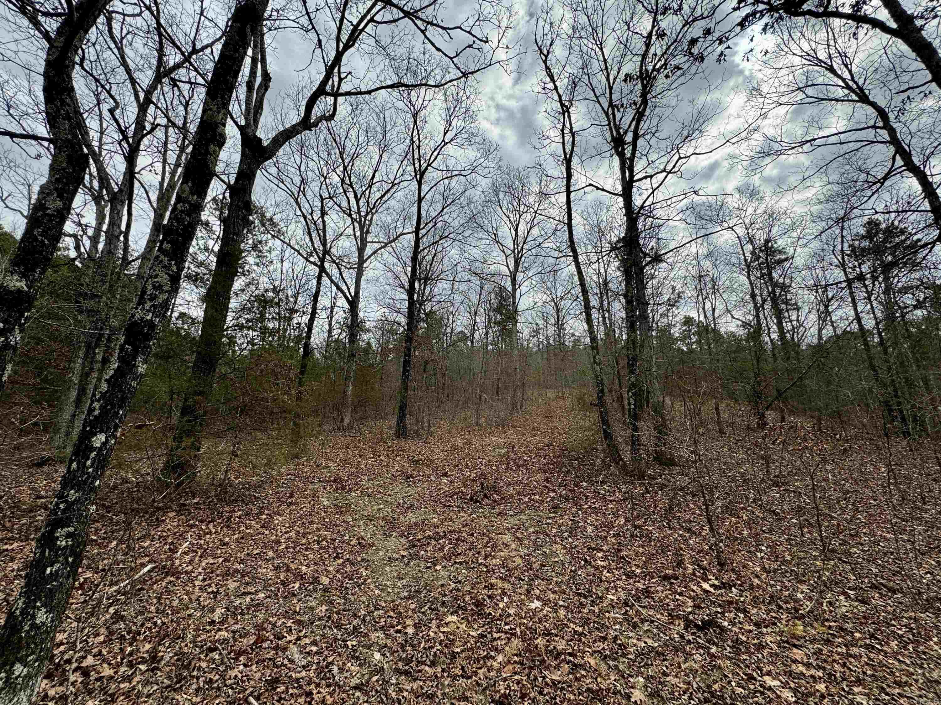 00  mt zion  Bee Branch, AR