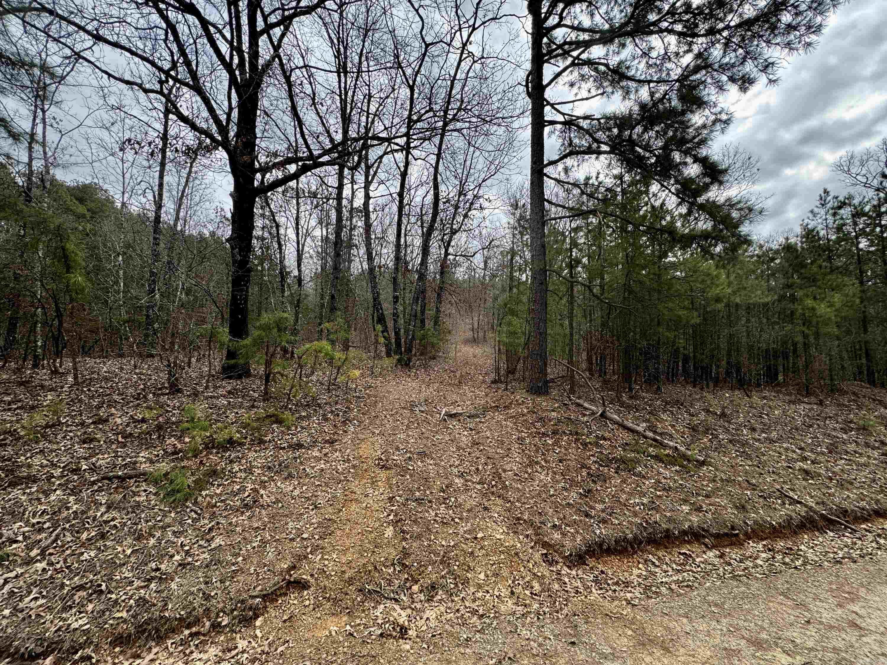 00  mt zion  Bee Branch, AR