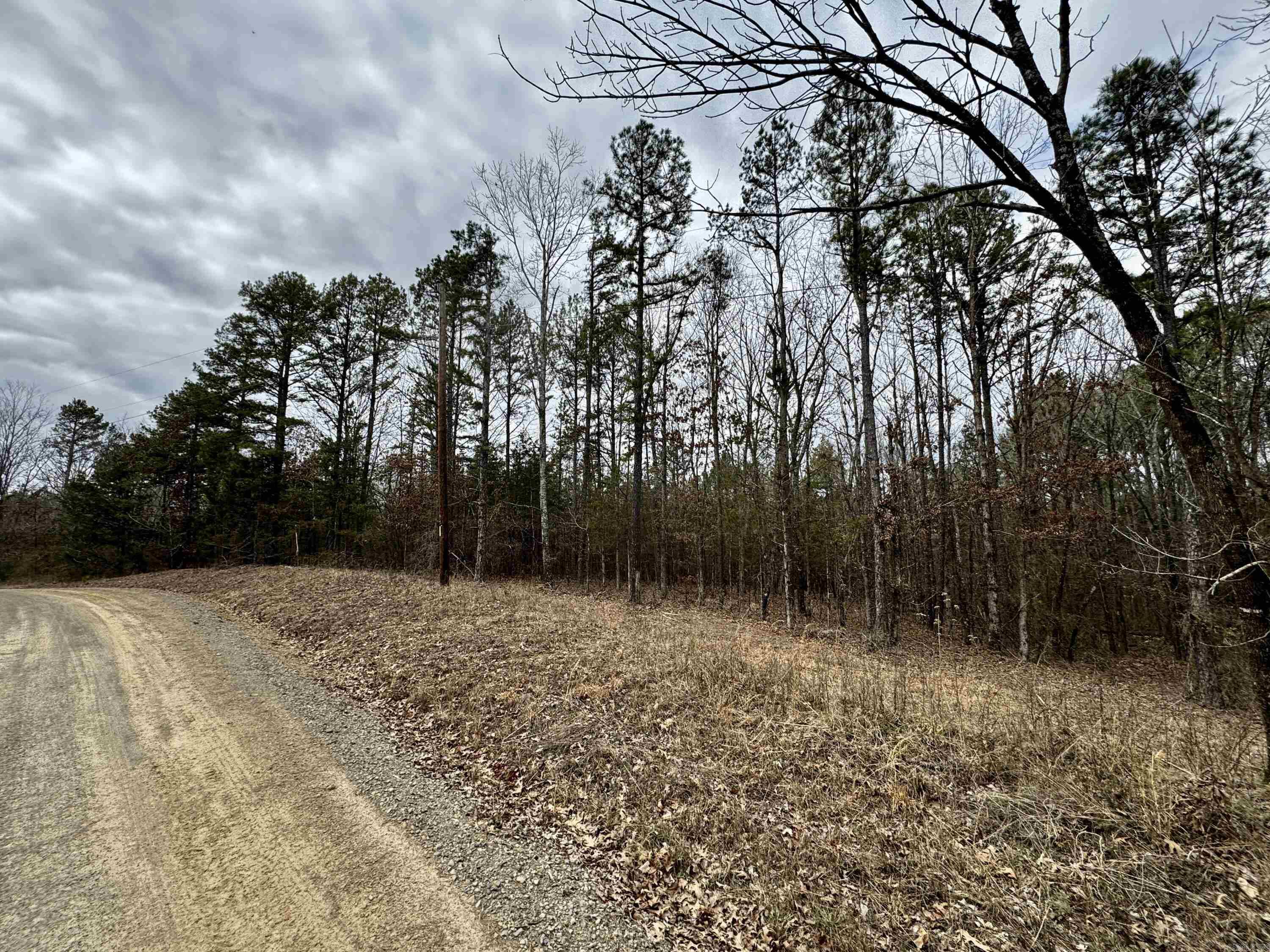 00  mt zion  Bee Branch, AR